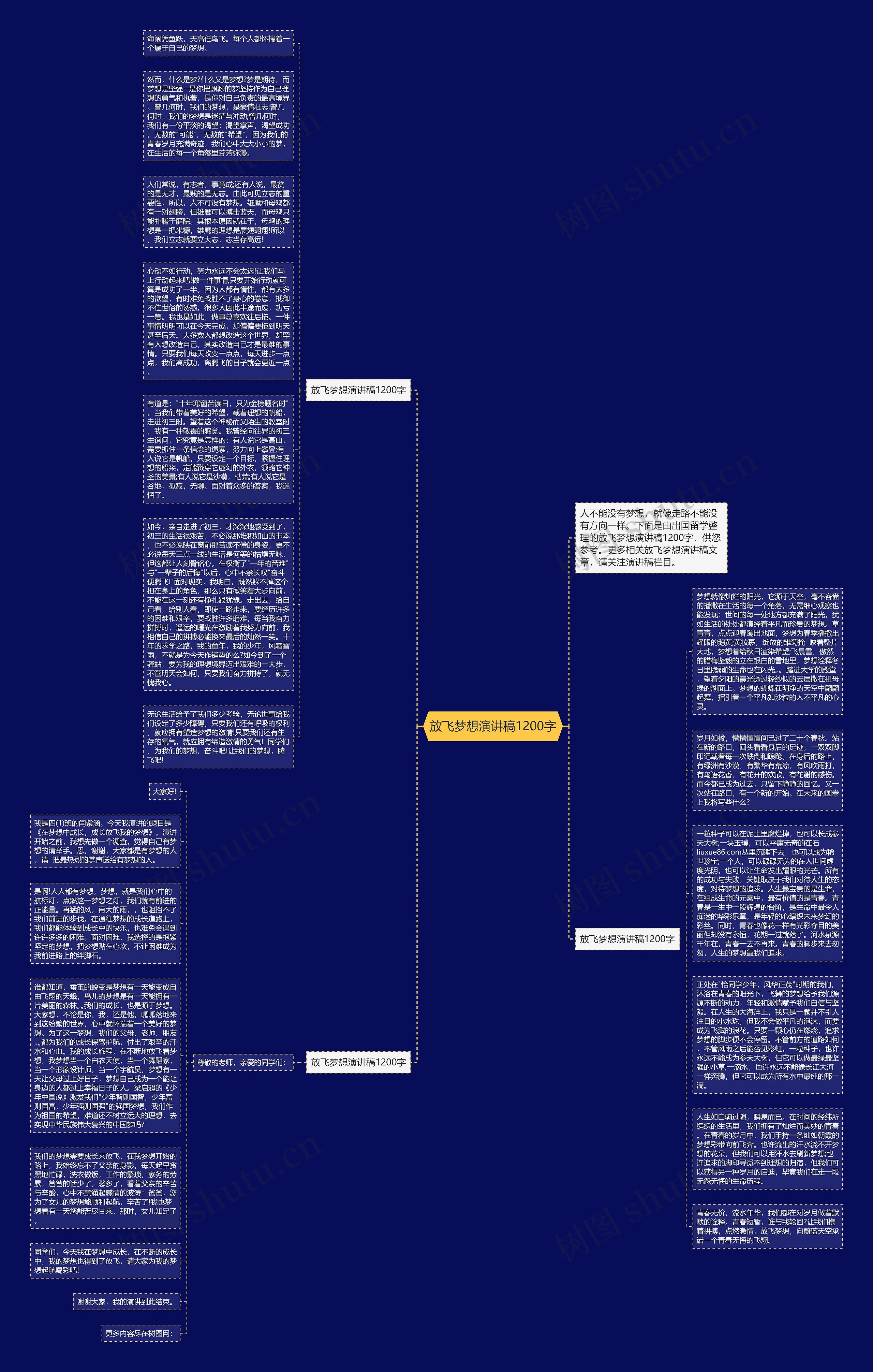 放飞梦想演讲稿1200字思维导图