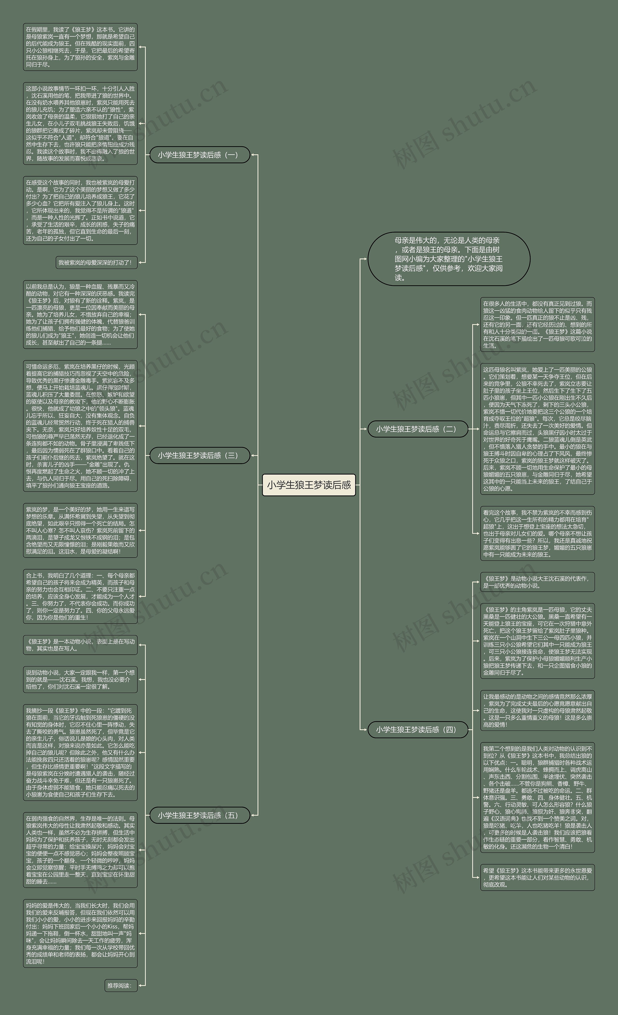 小学生狼王梦读后感思维导图
