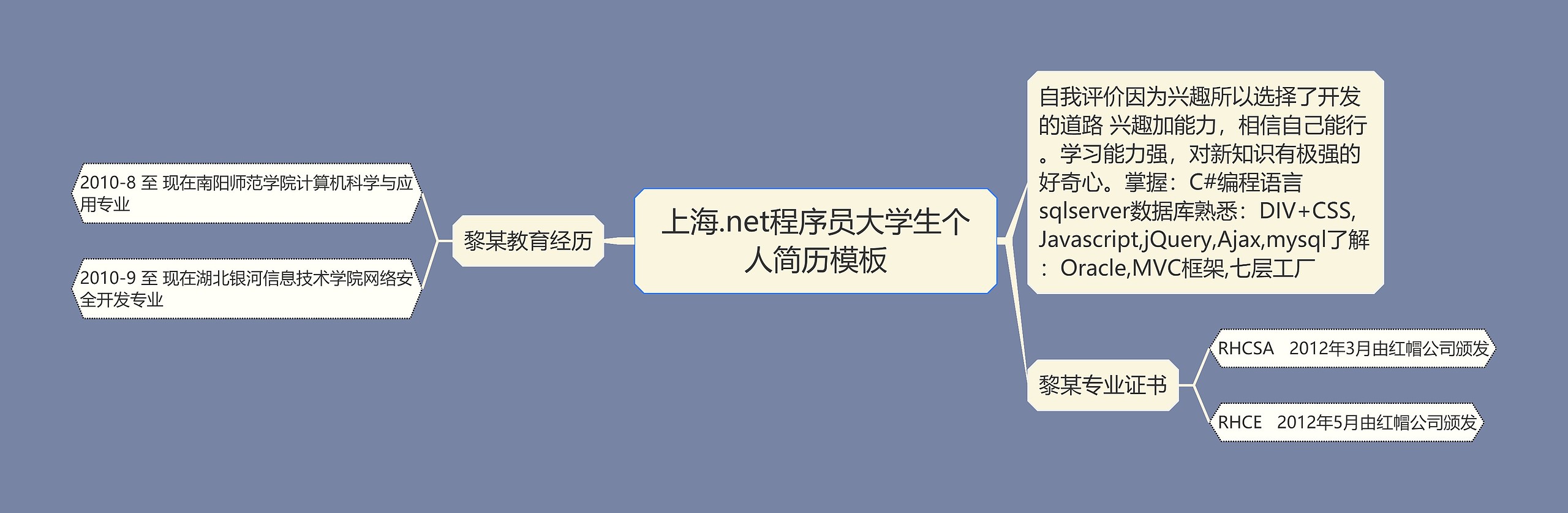 上海.net程序员大学生个人简历思维导图