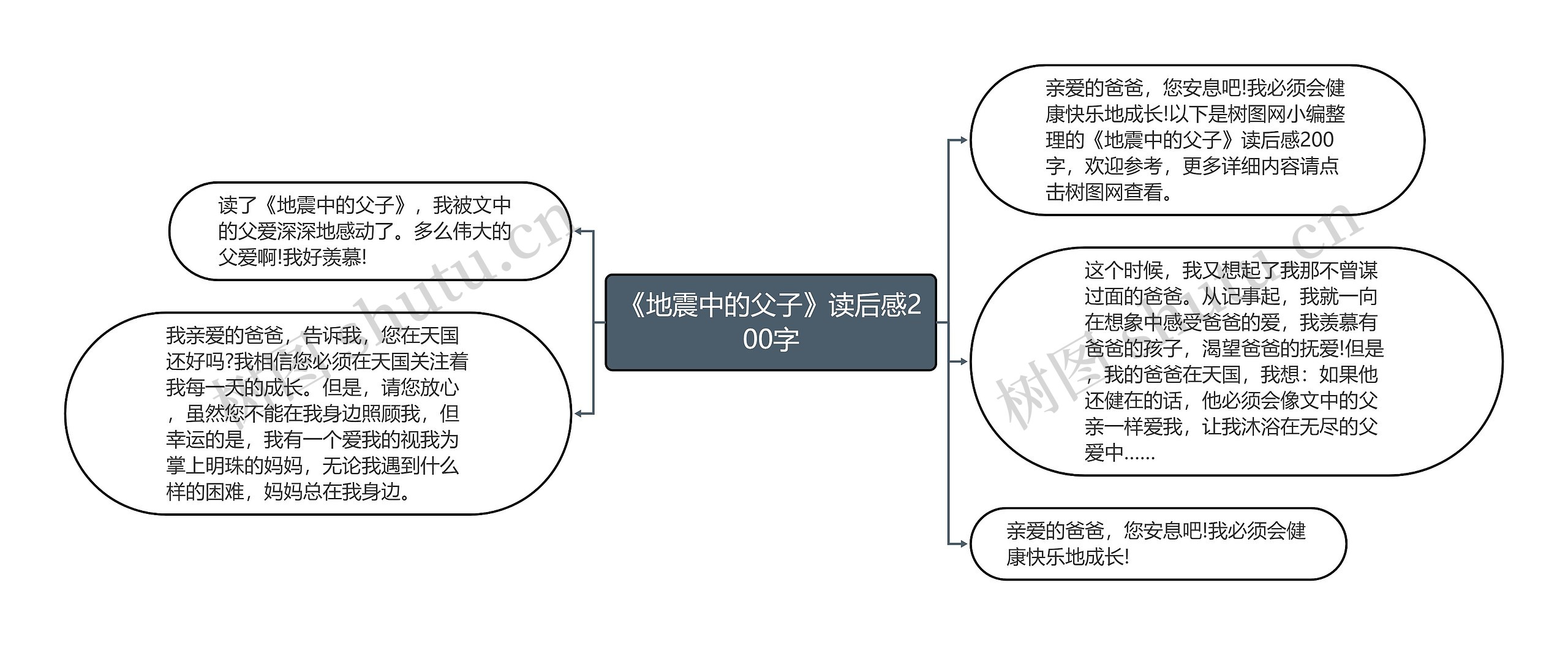 《地震中的父子》读后感200字思维导图