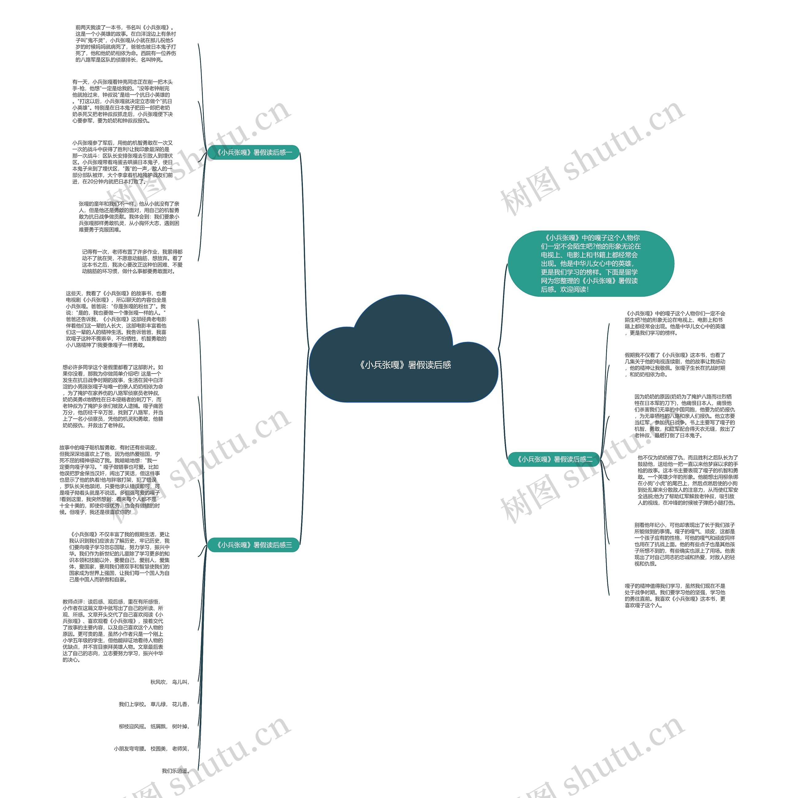 《小兵张嘎》暑假读后感思维导图