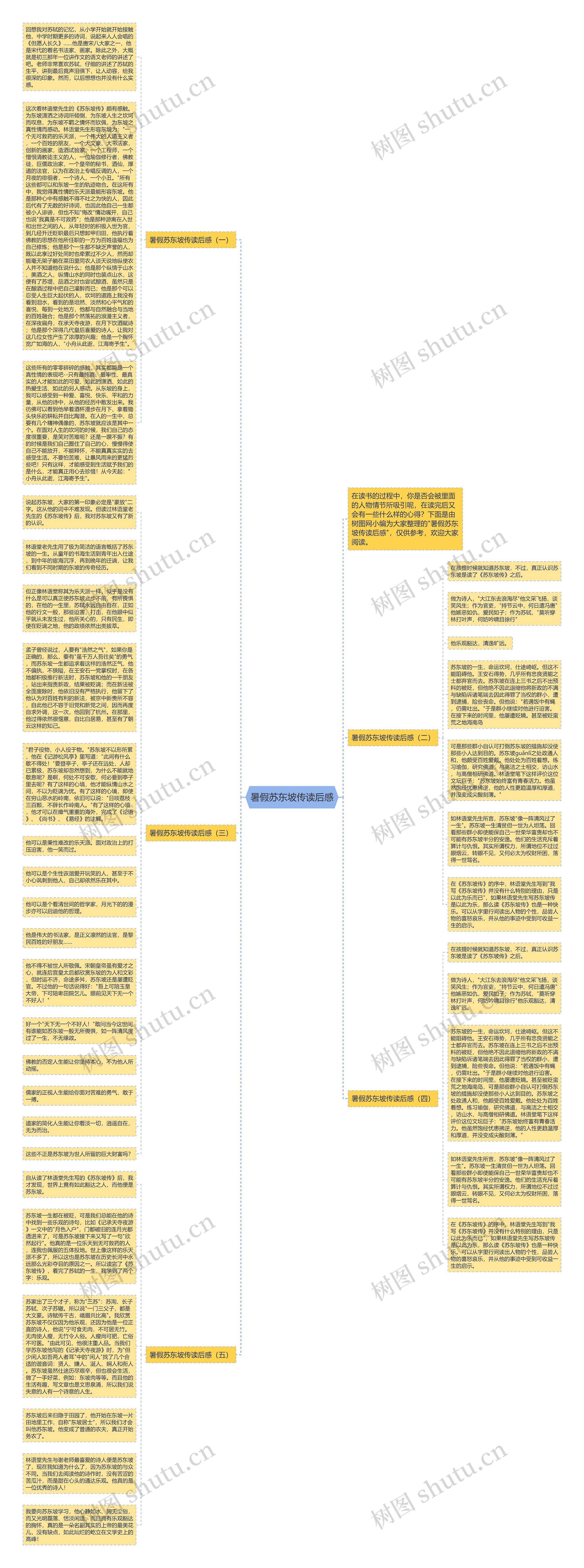 暑假苏东坡传读后感思维导图