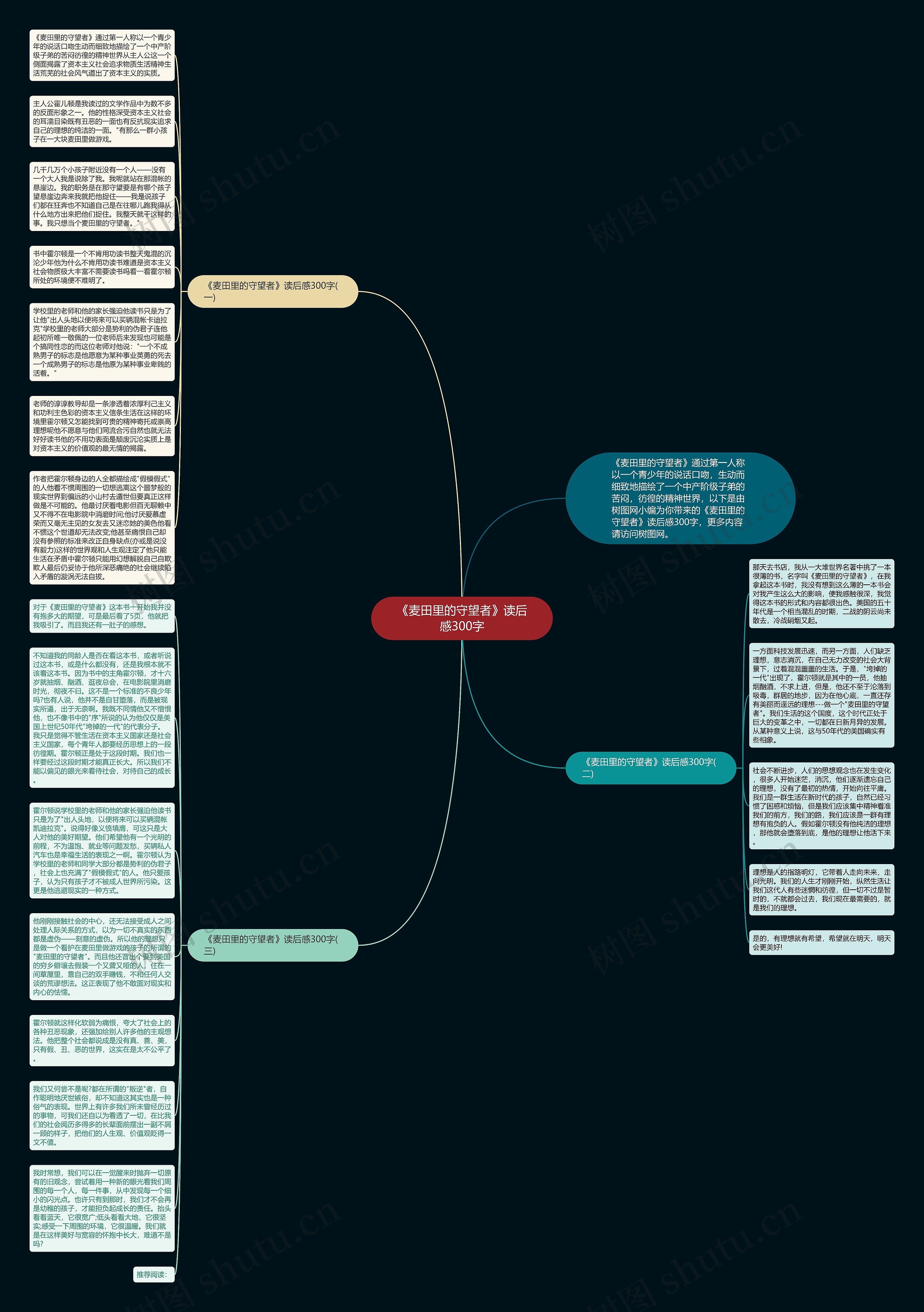 《麦田里的守望者》读后感300字思维导图