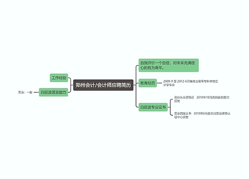 郑州会计/会计师应聘简历