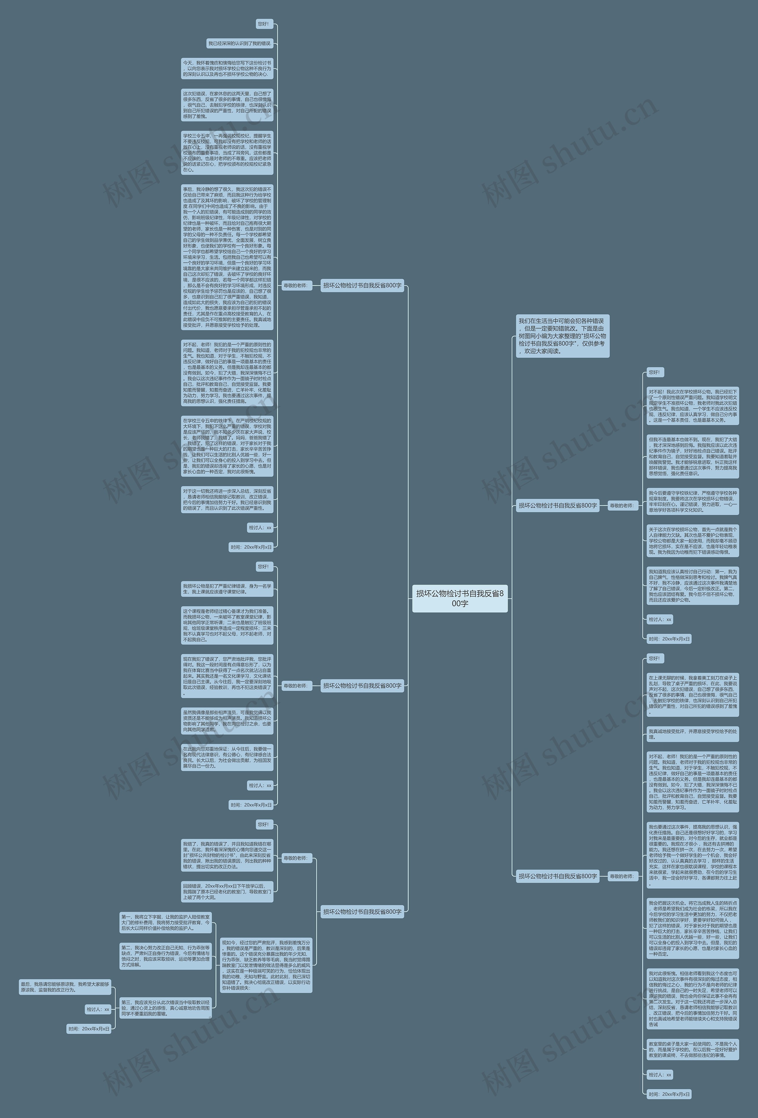 损坏公物检讨书自我反省800字思维导图