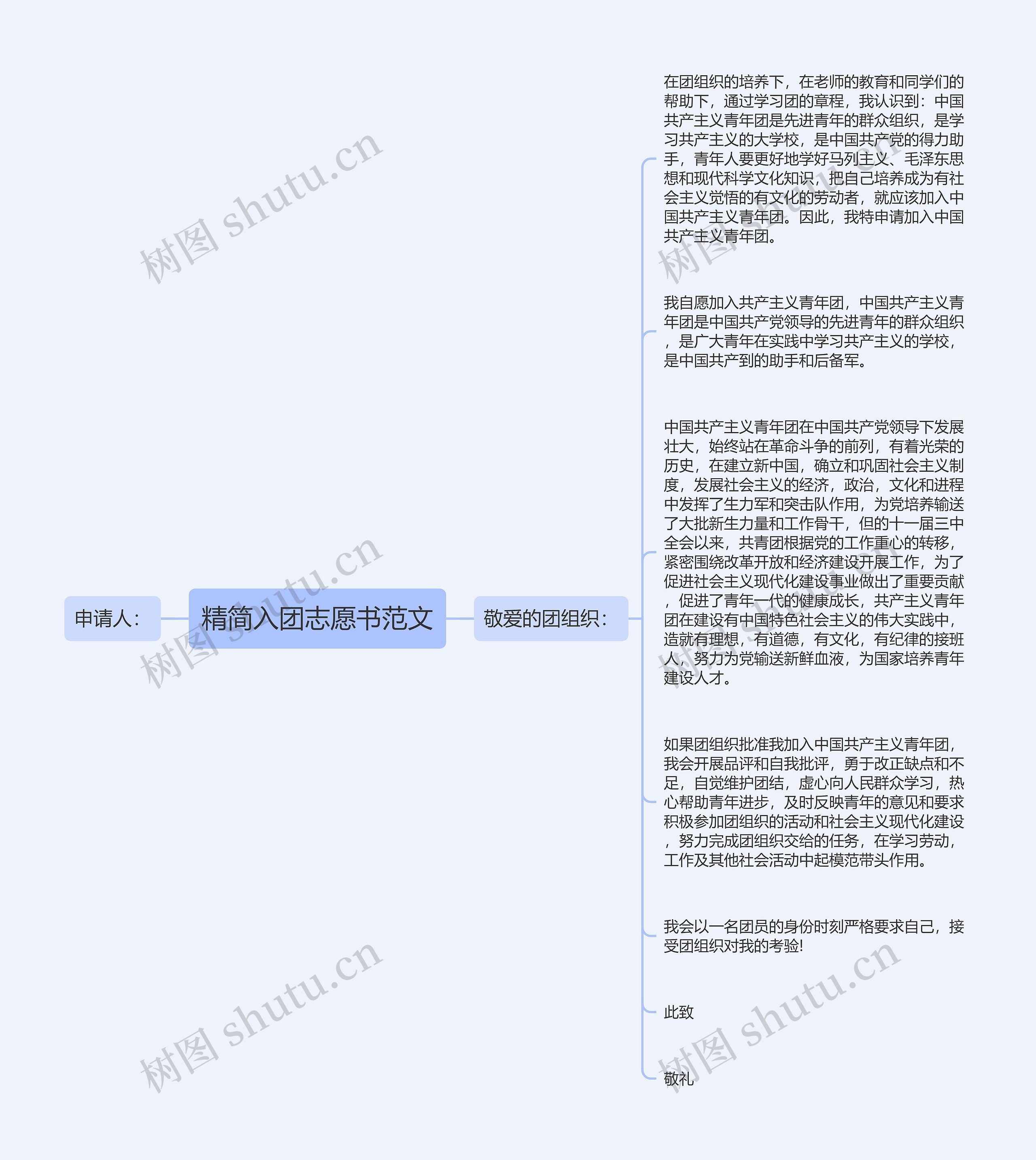 精简入团志愿书范文
