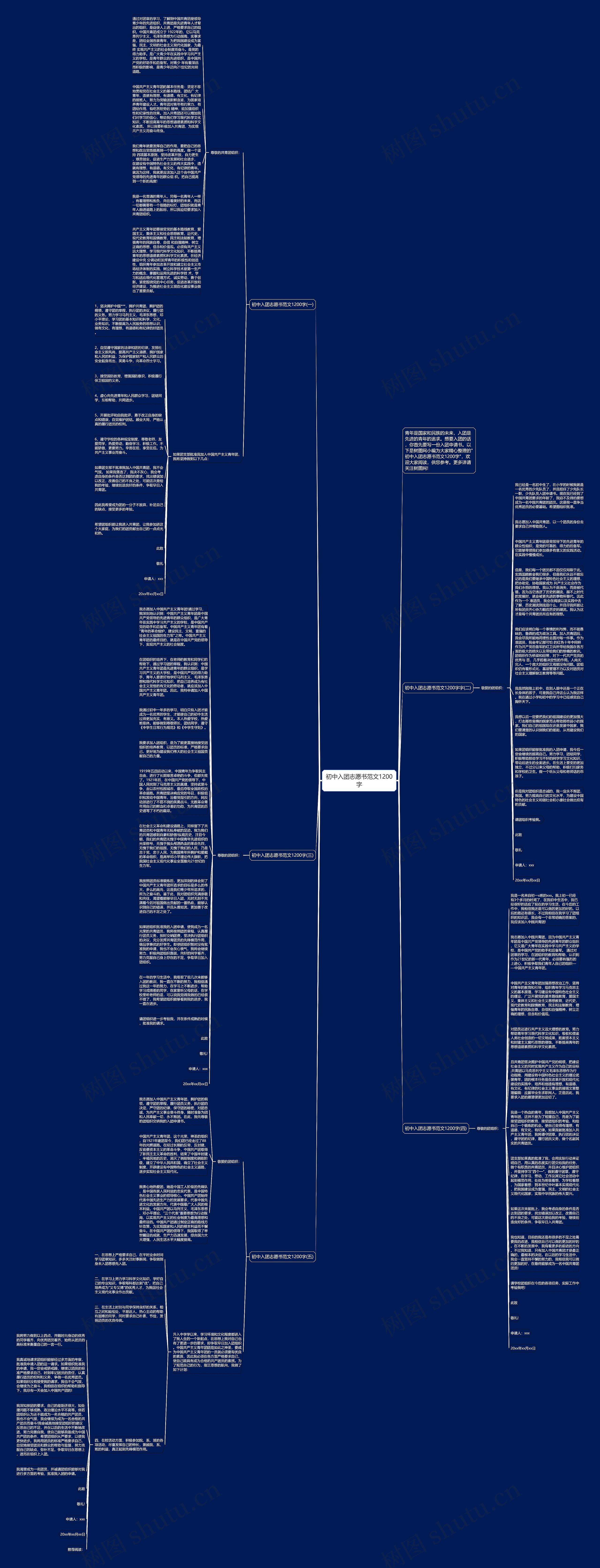 初中入团志愿书范文1200字思维导图