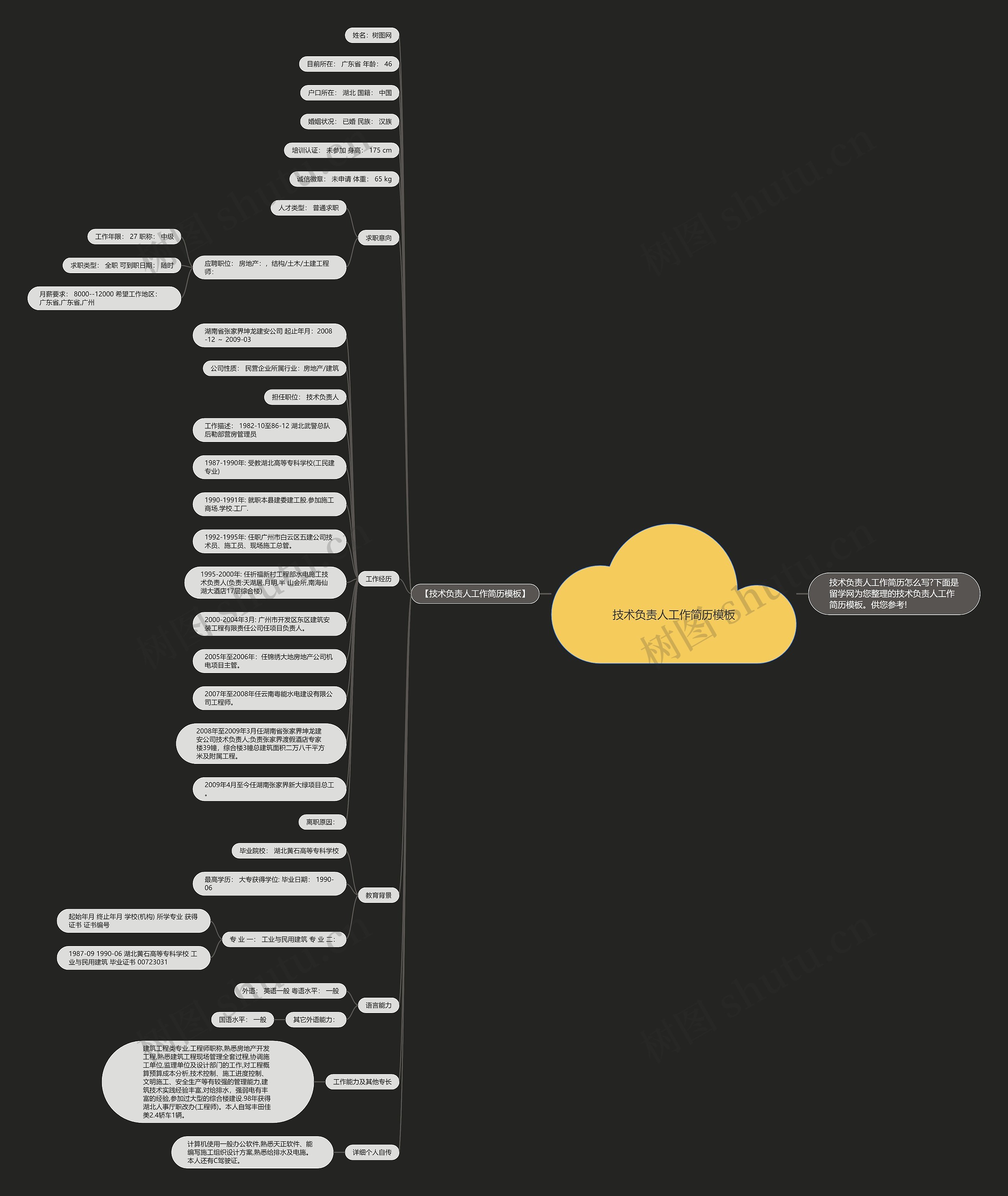 技术负责人工作简历思维导图