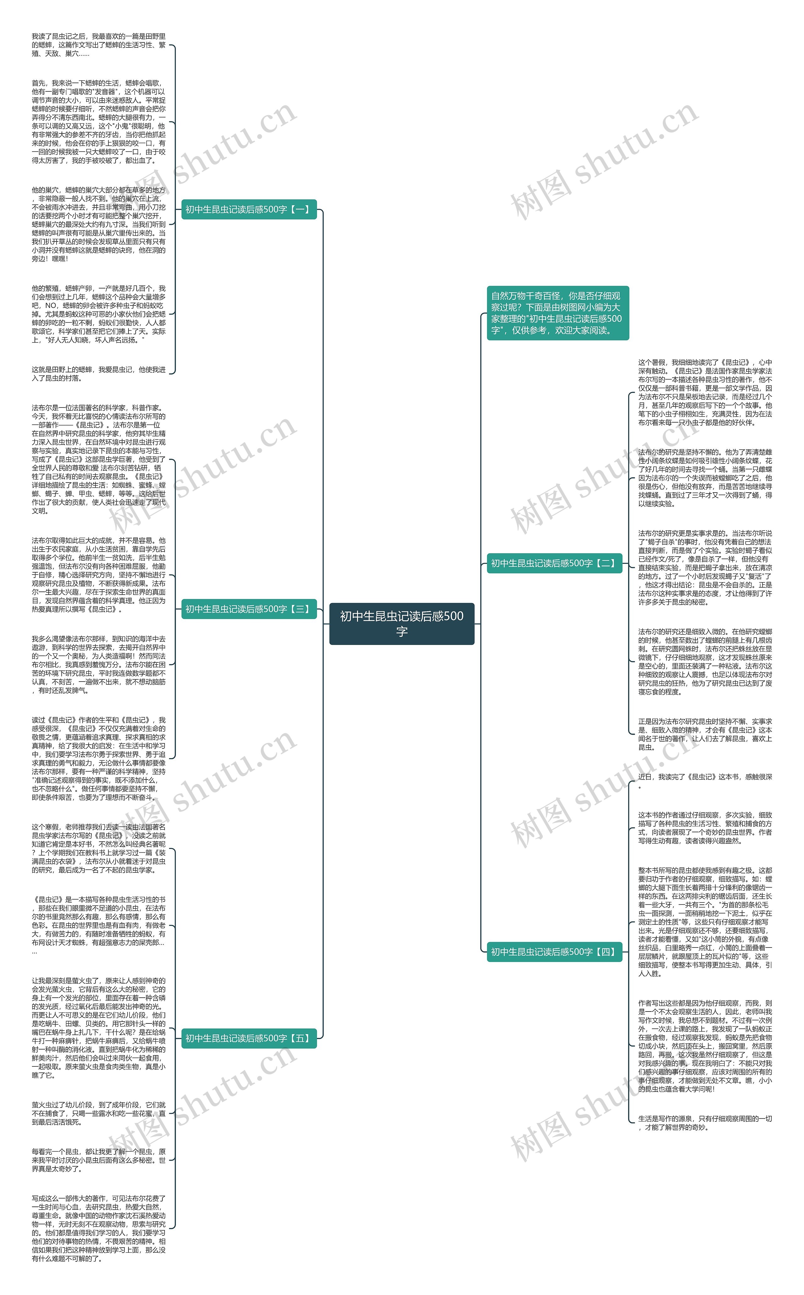 初中生昆虫记读后感500字思维导图