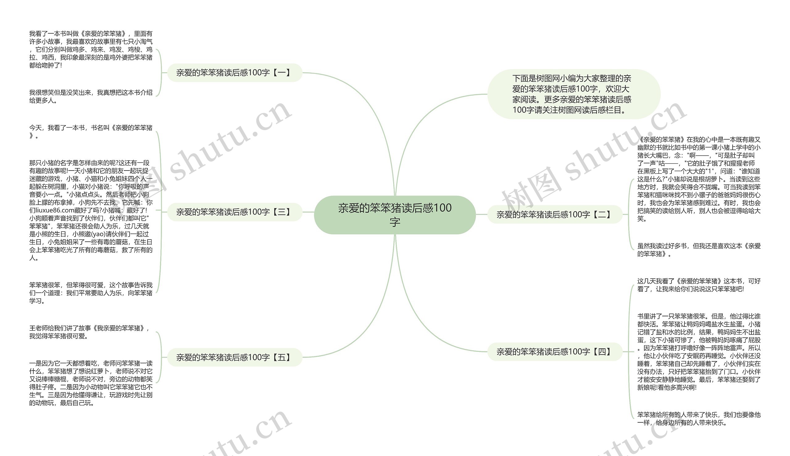 亲爱的笨笨猪读后感100字