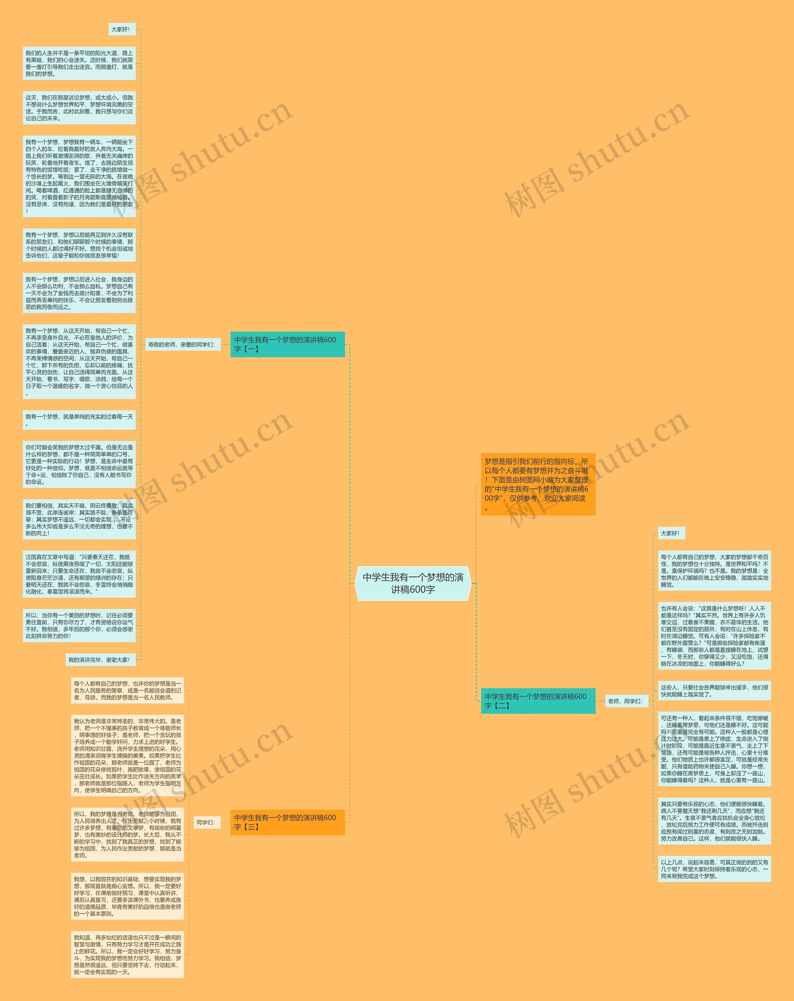 中学生我有一个梦想的演讲稿600字思维导图