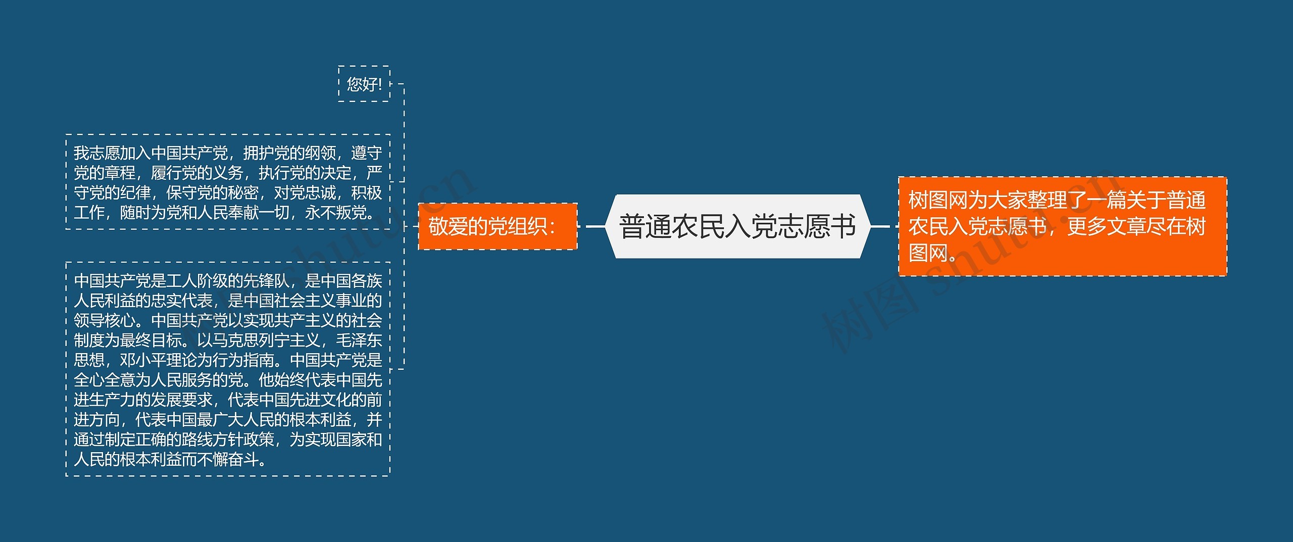 普通农民入党志愿书