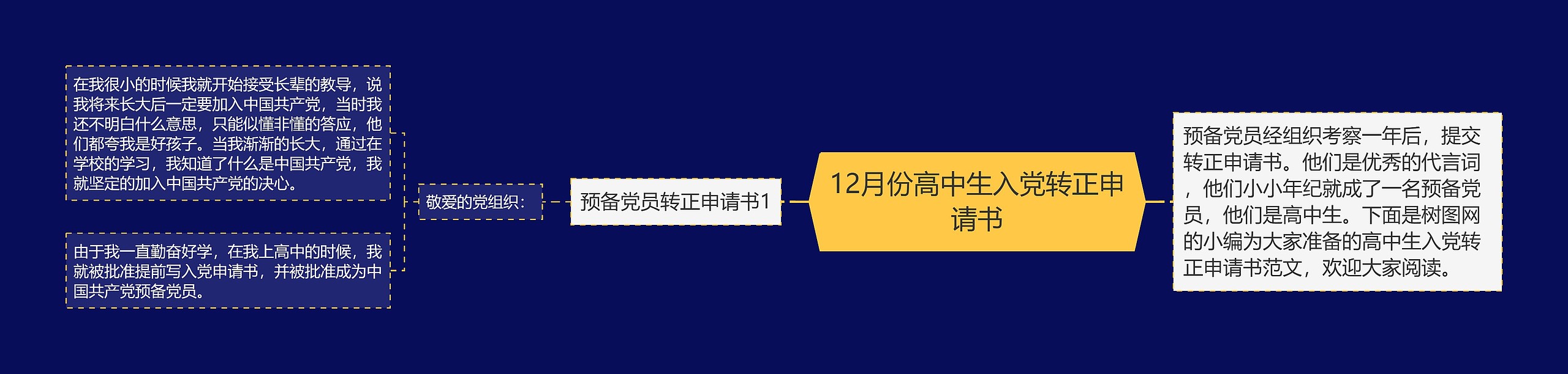 12月份高中生入党转正申请书