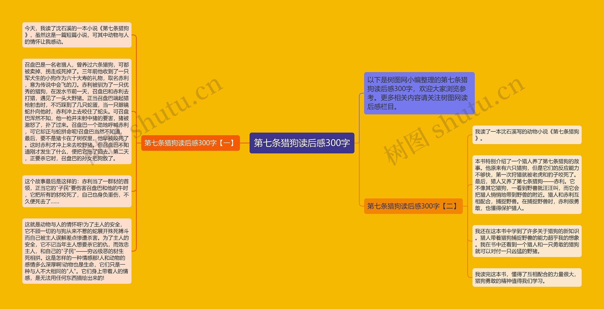 第七条猎狗读后感300字思维导图