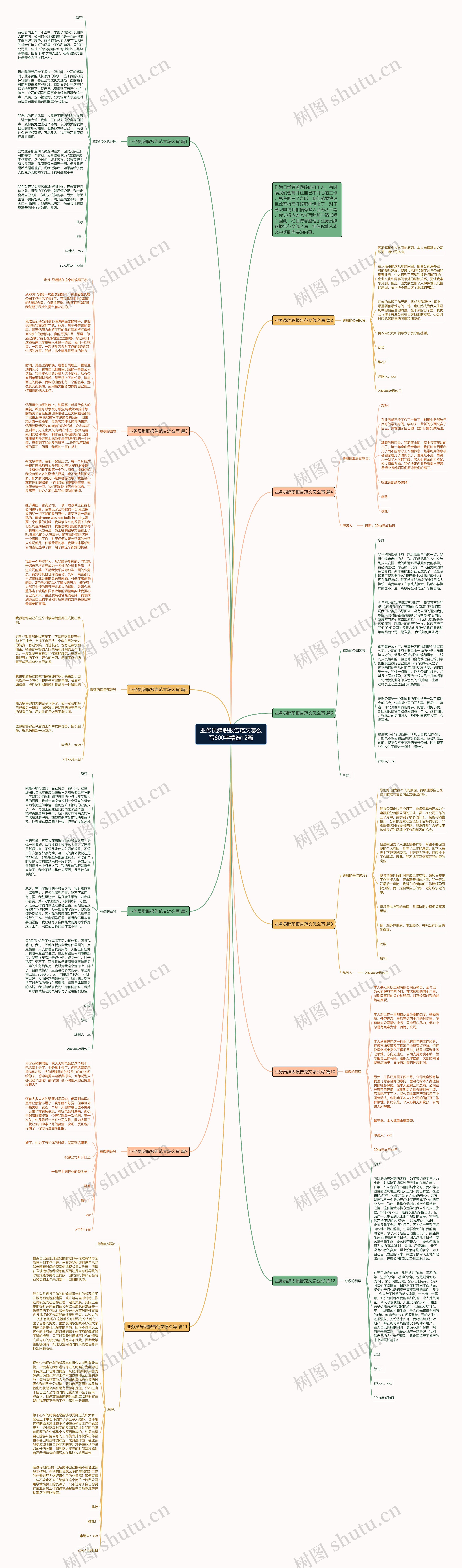 业务员辞职报告范文怎么写600字精选12篇思维导图