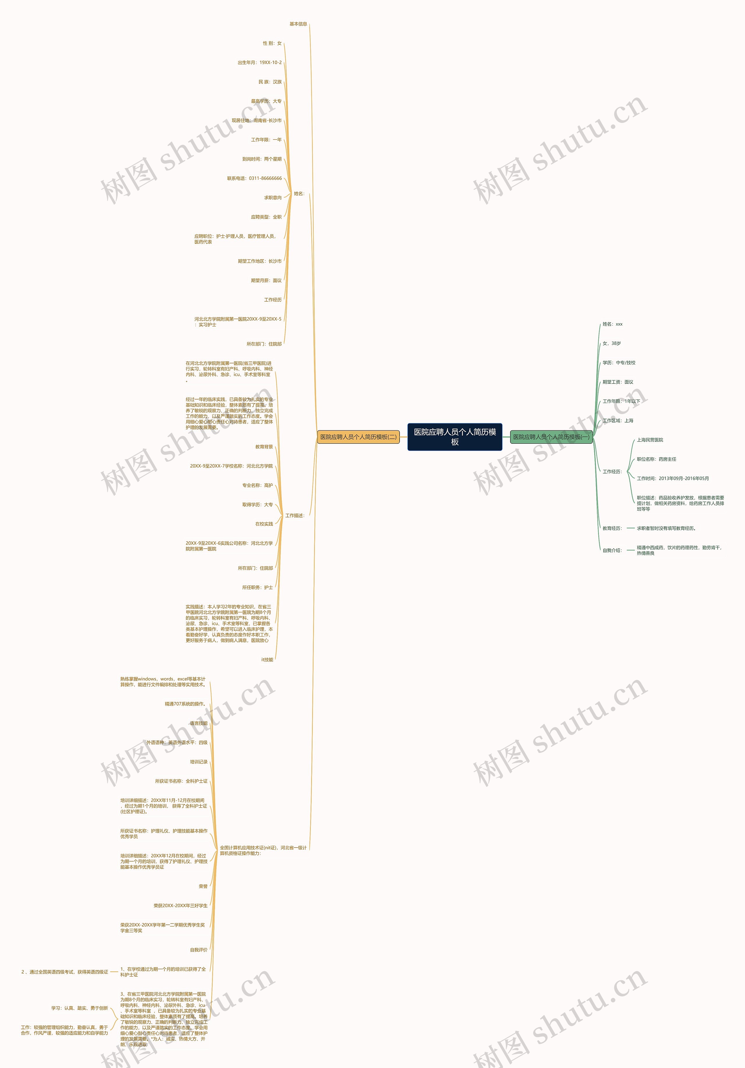 医院应聘人员个人简历思维导图