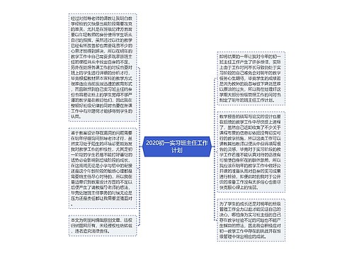 2020初一实习班主任工作计划
