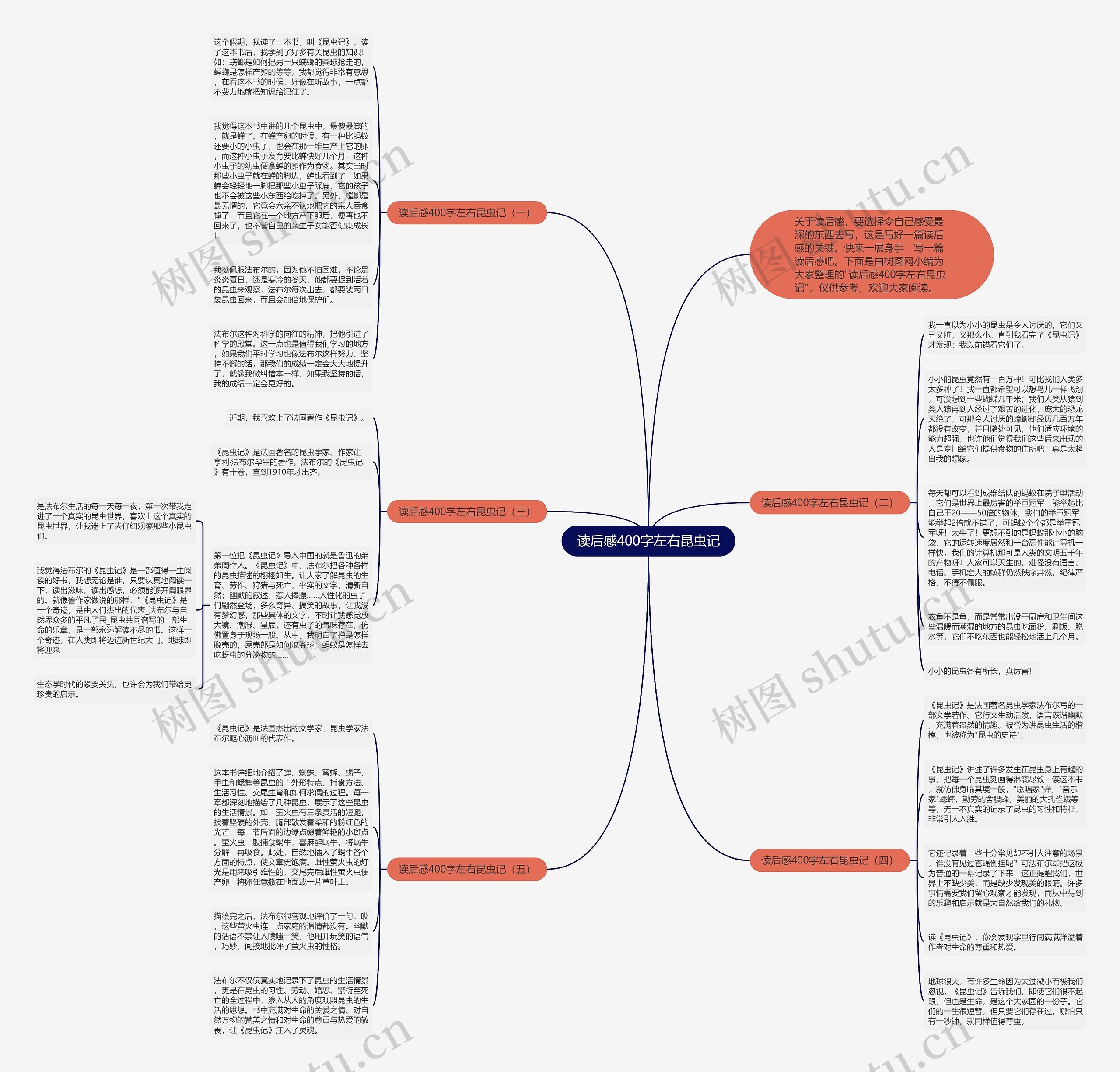 读后感400字左右昆虫记思维导图