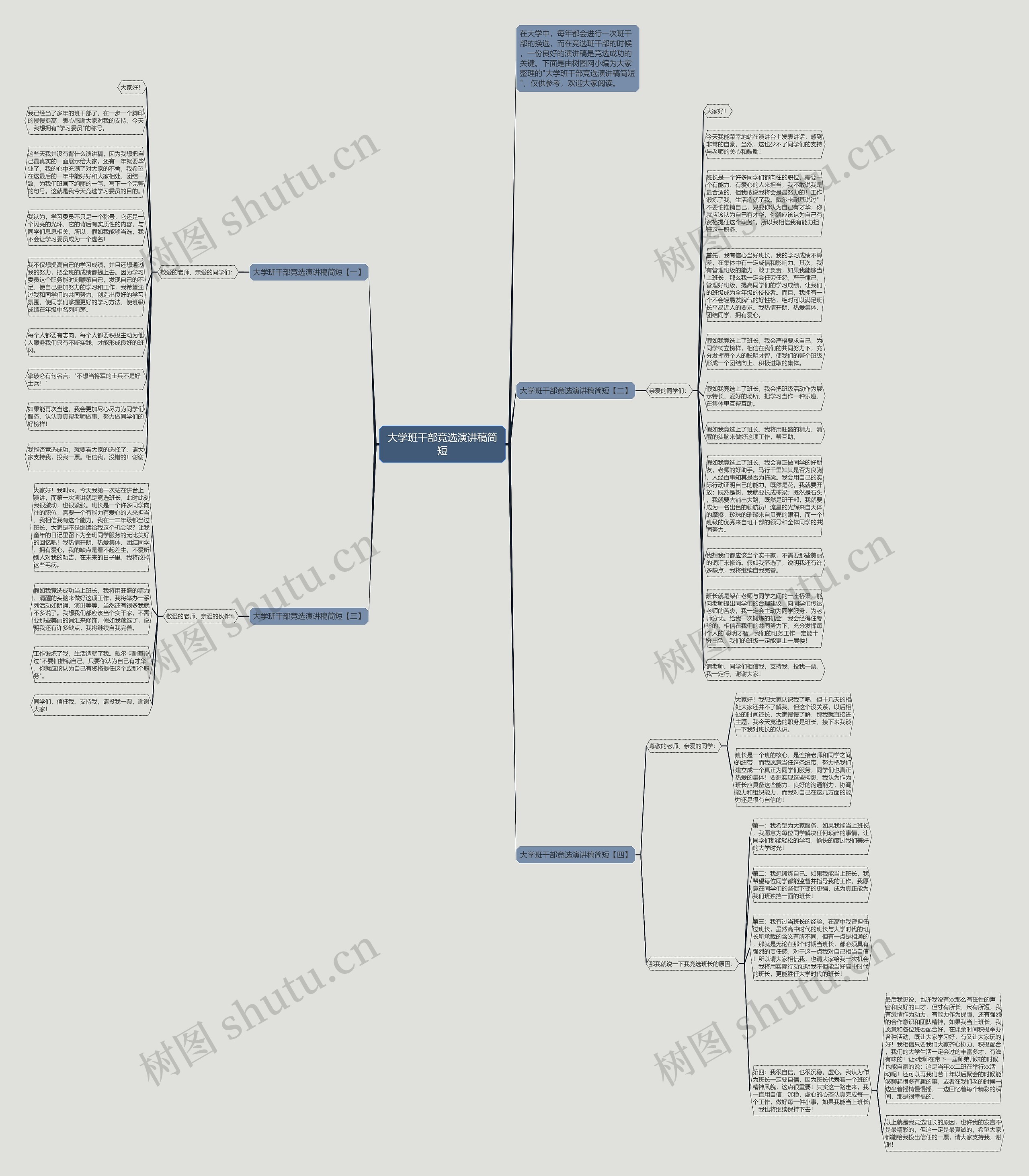 大学班干部竞选演讲稿简短思维导图