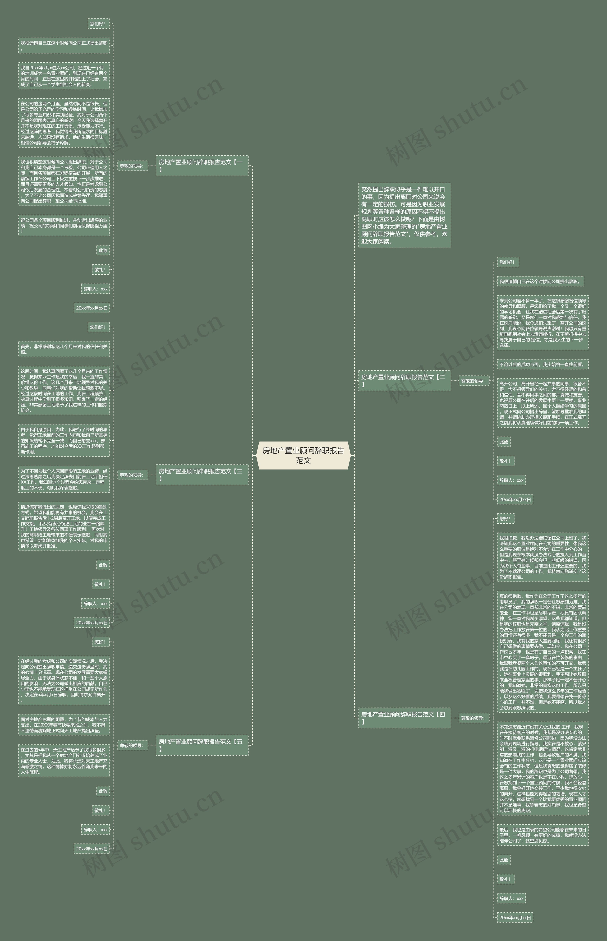 房地产置业顾问辞职报告范文思维导图