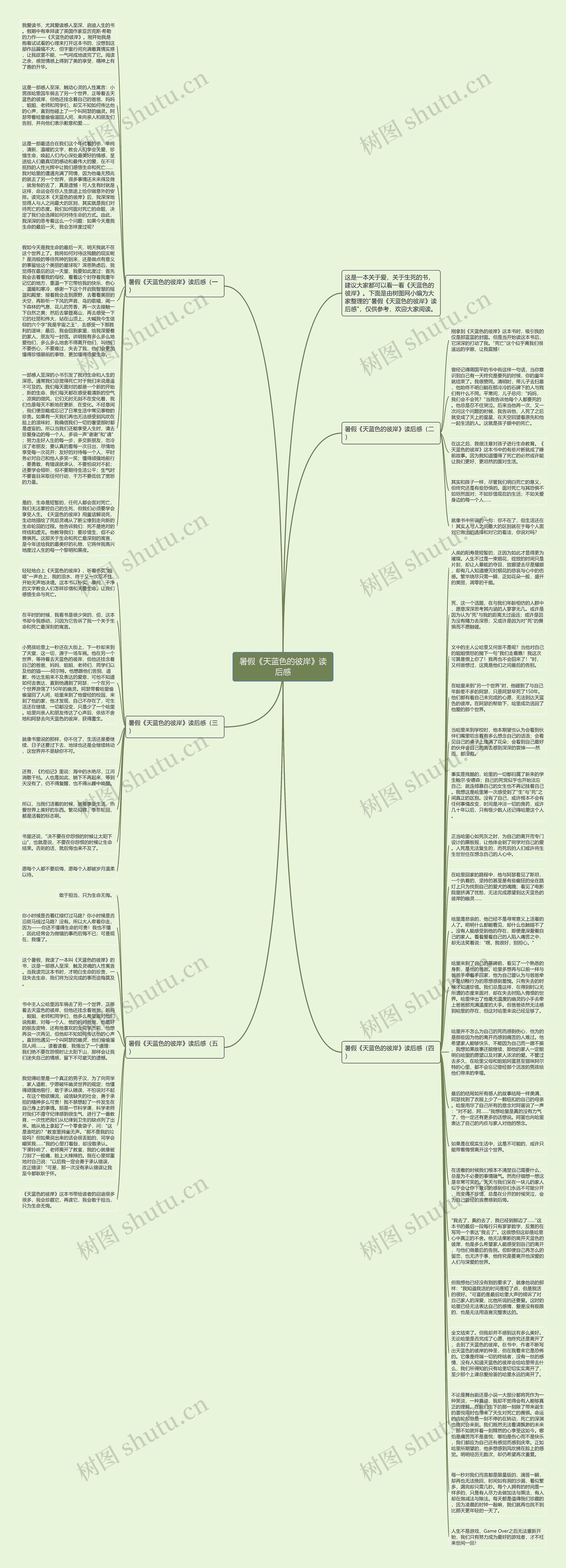 暑假《天蓝色的彼岸》读后感思维导图