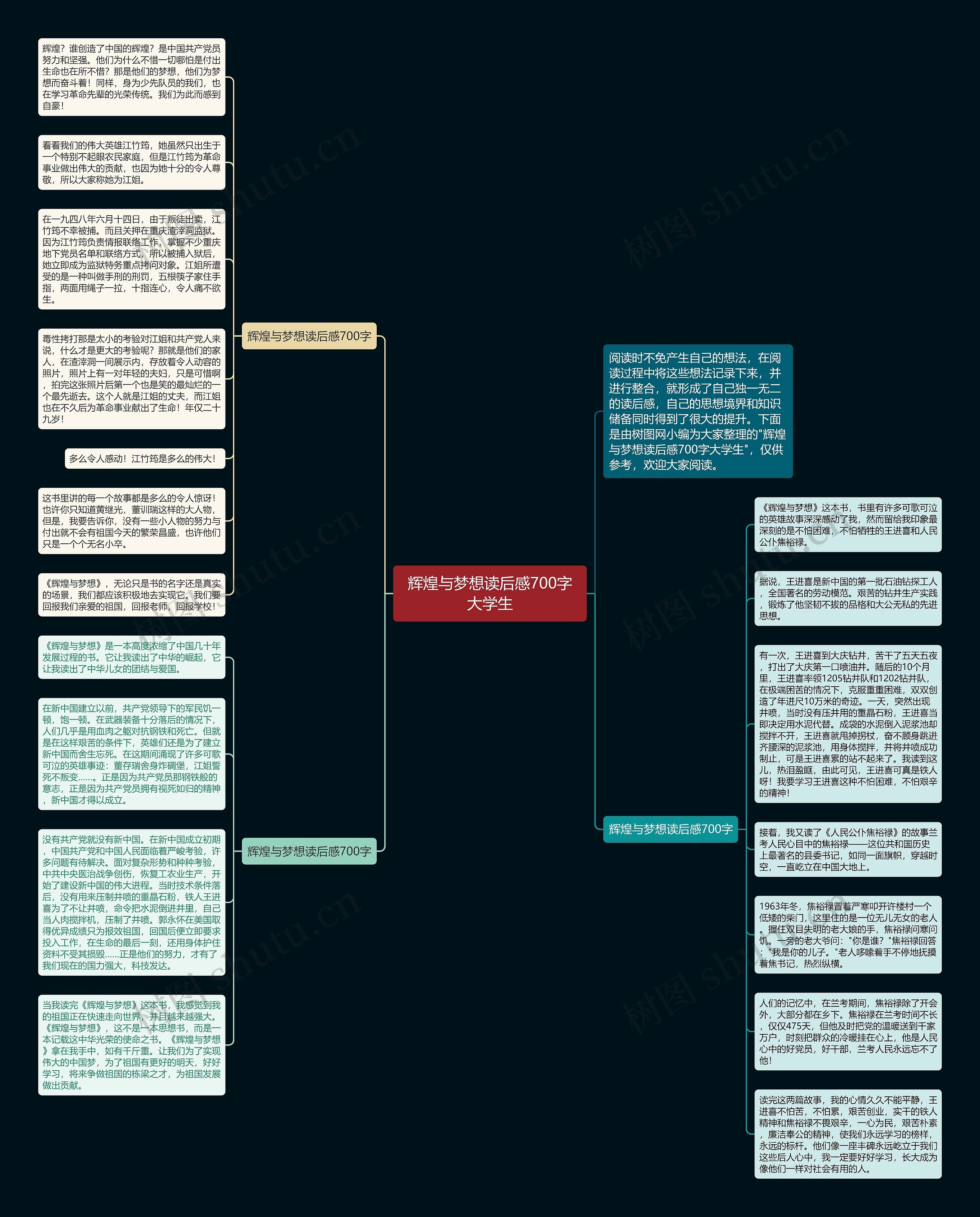 辉煌与梦想读后感700字大学生思维导图
