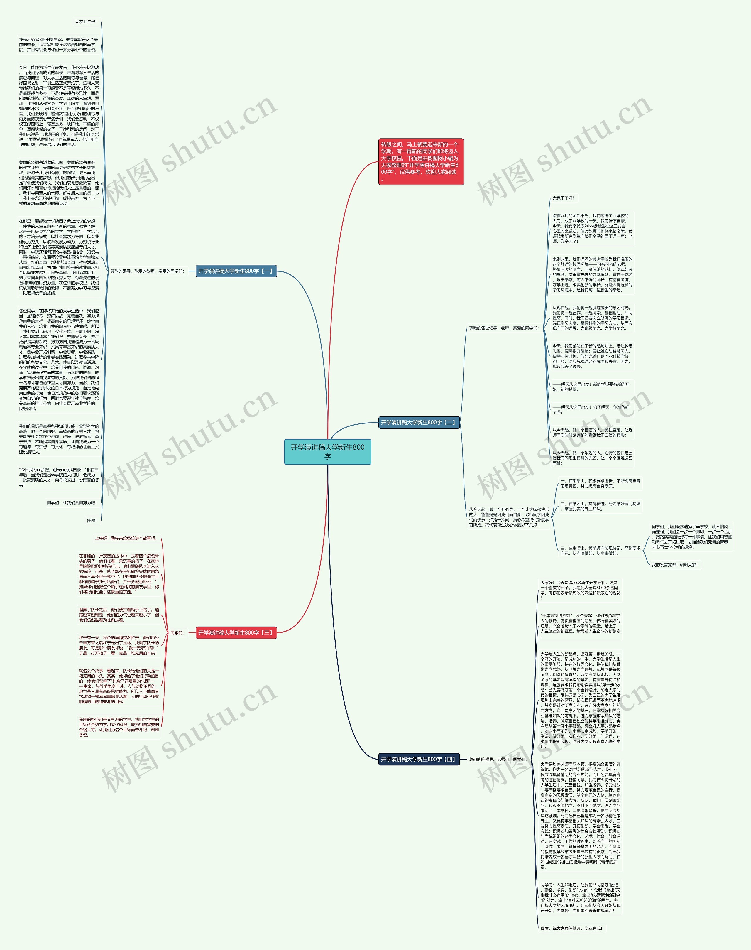 开学演讲稿大学新生800字思维导图