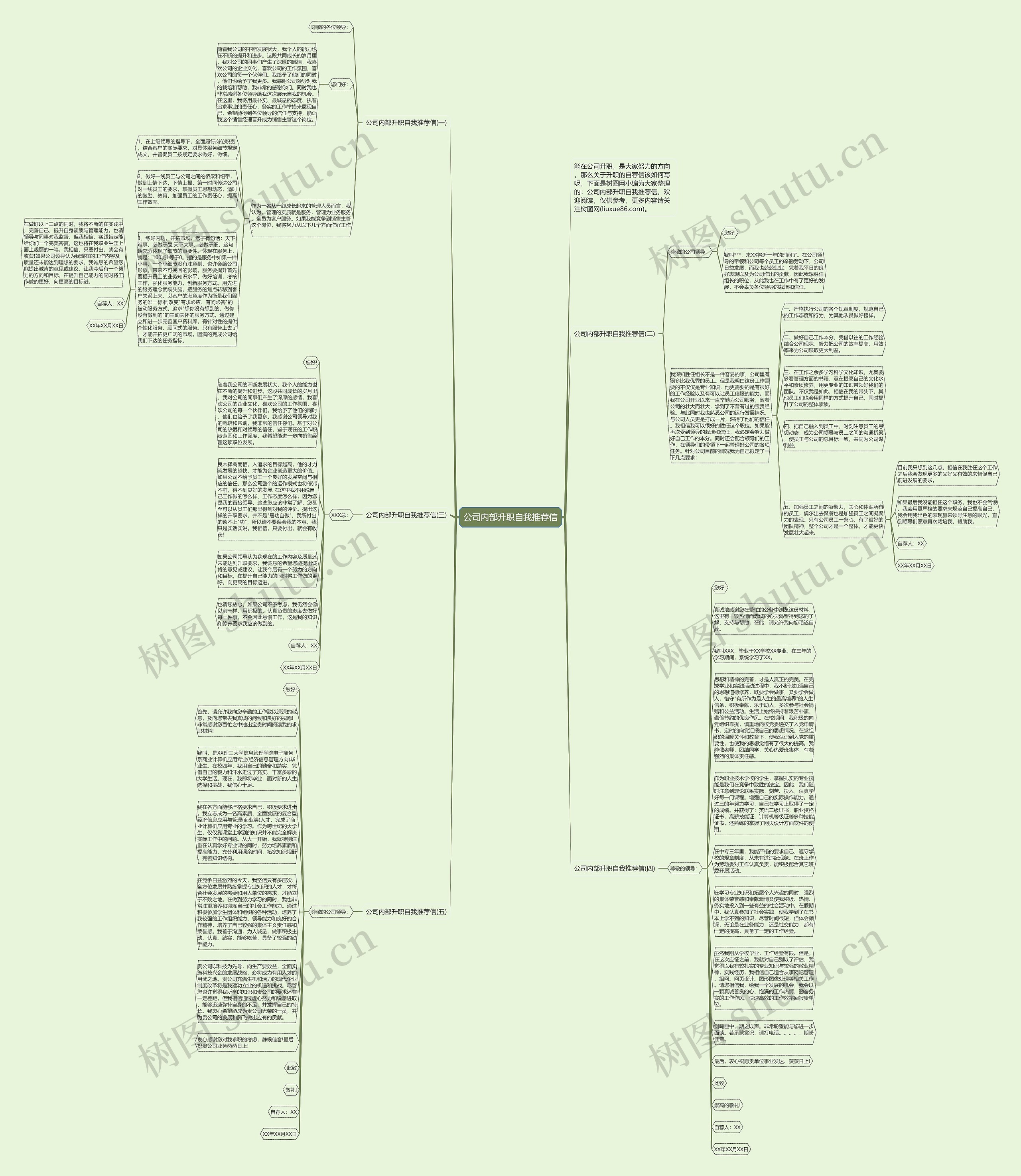 公司内部升职自我推荐信思维导图