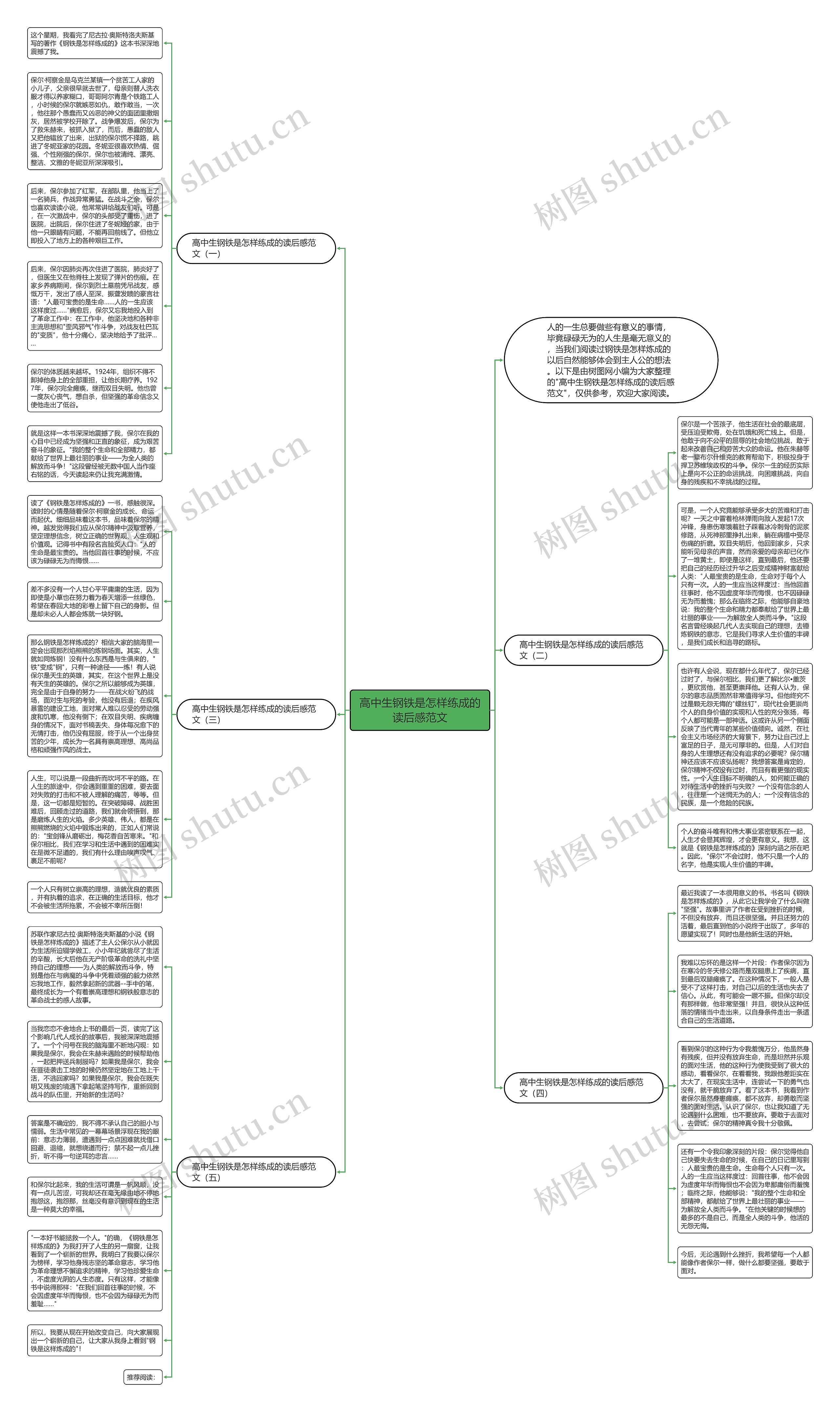 高中生钢铁是怎样练成的读后感范文思维导图