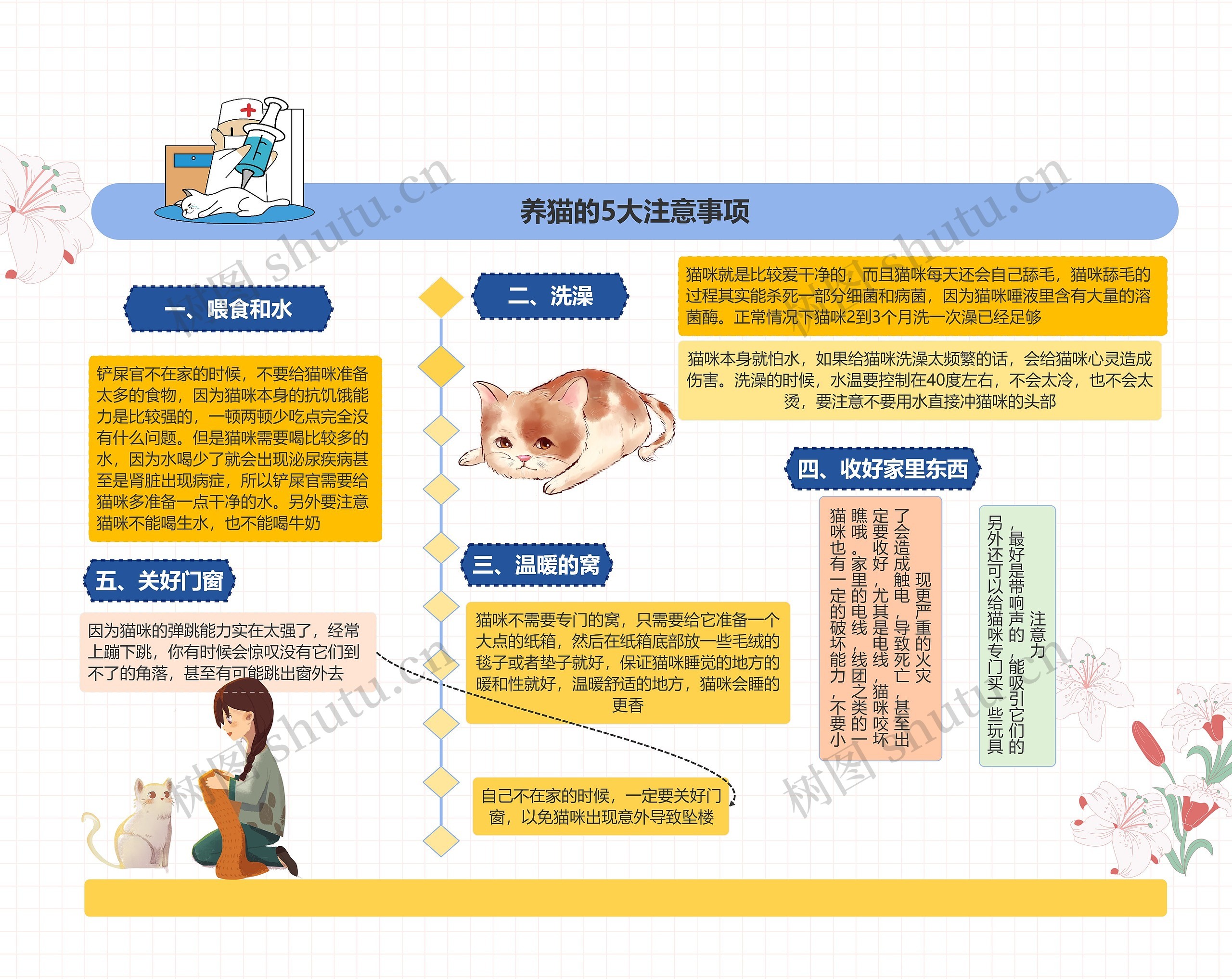 养猫的5大注意事项