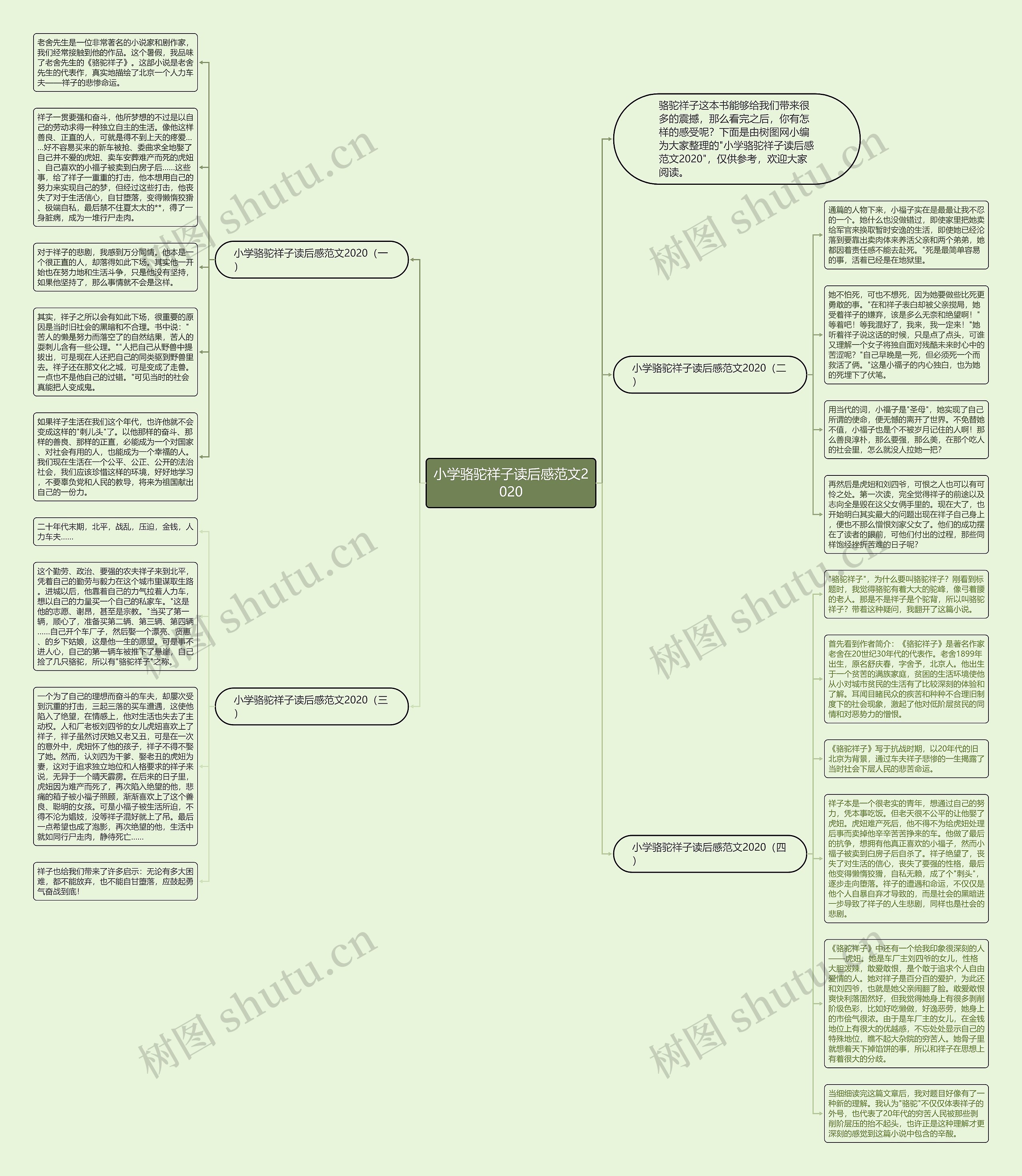 小学骆驼祥子读后感范文2020思维导图