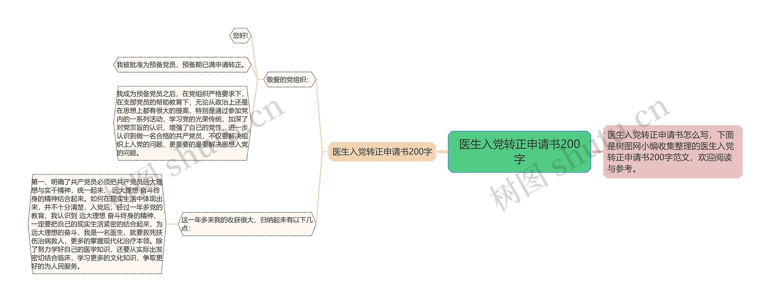 医生入党转正申请书200字思维导图