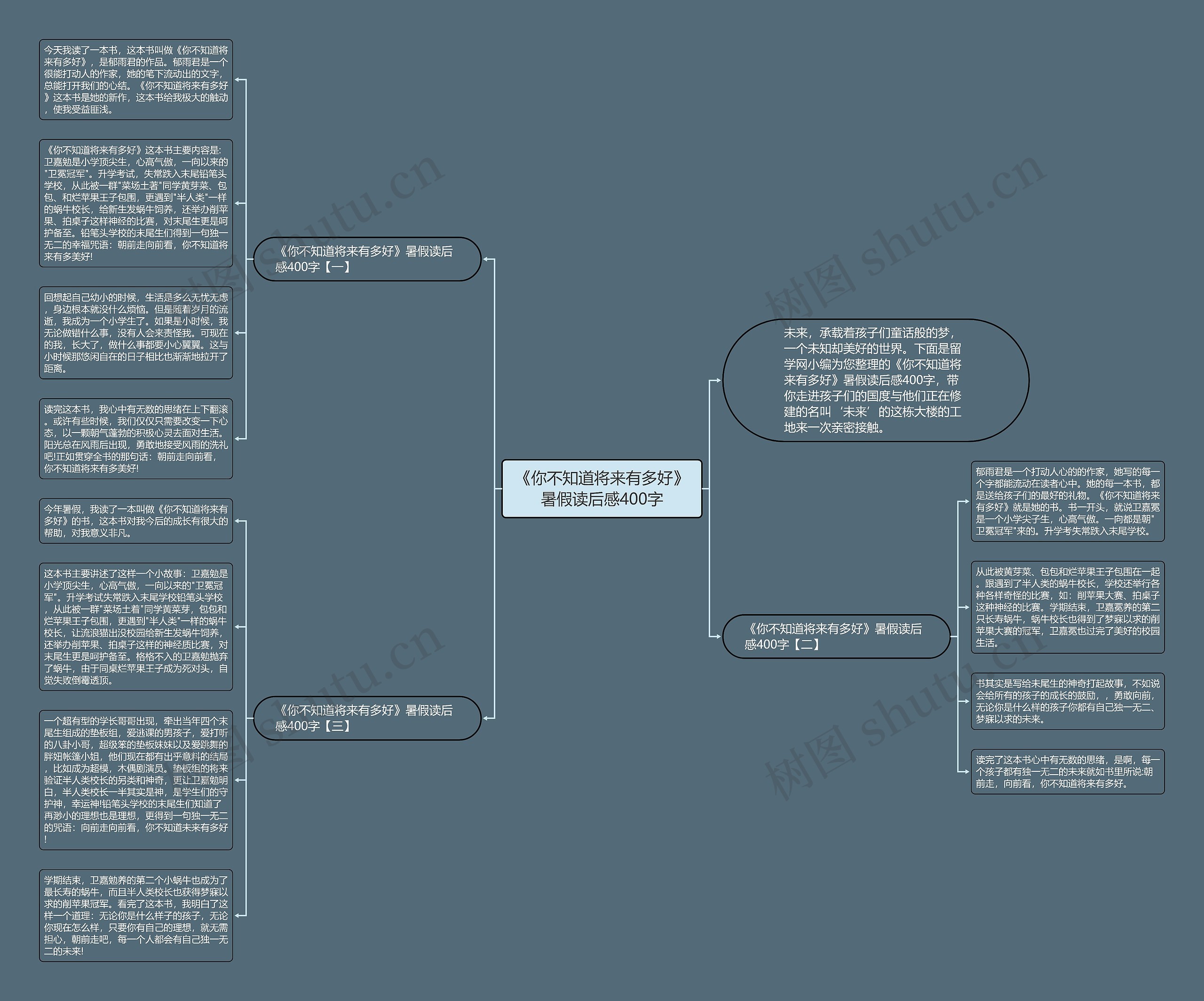 《你不知道将来有多好》暑假读后感400字思维导图