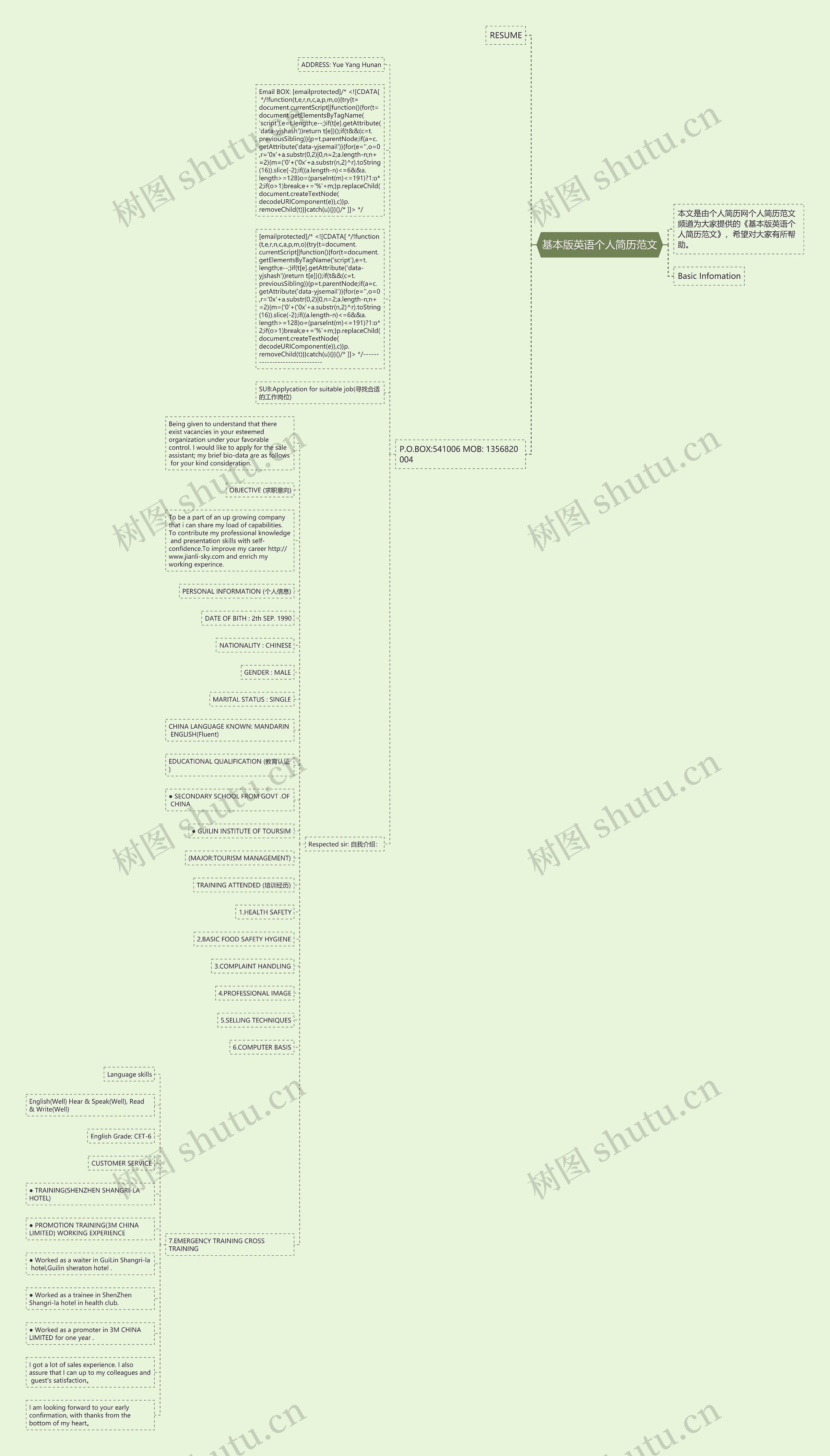 基本版英语个人简历范文思维导图