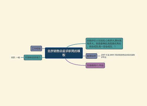 北京销售总监求职简历模板