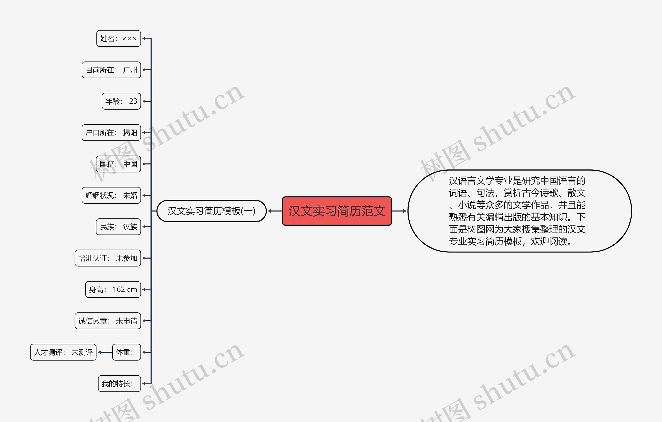 汉文实习简历范文思维导图