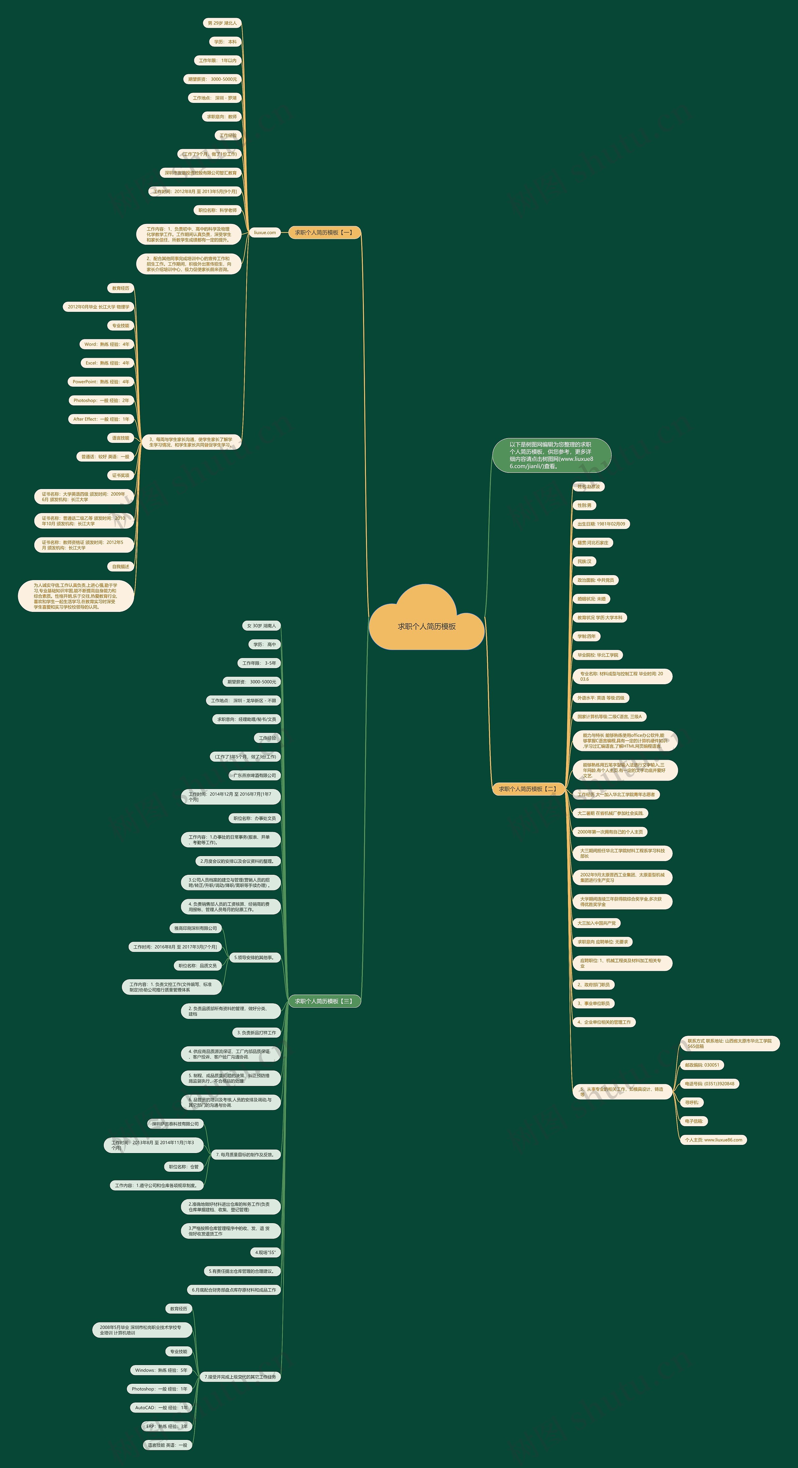 求职个人简历模板