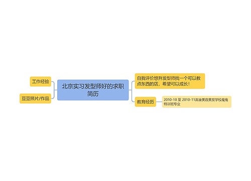 北京实习发型师好的求职简历