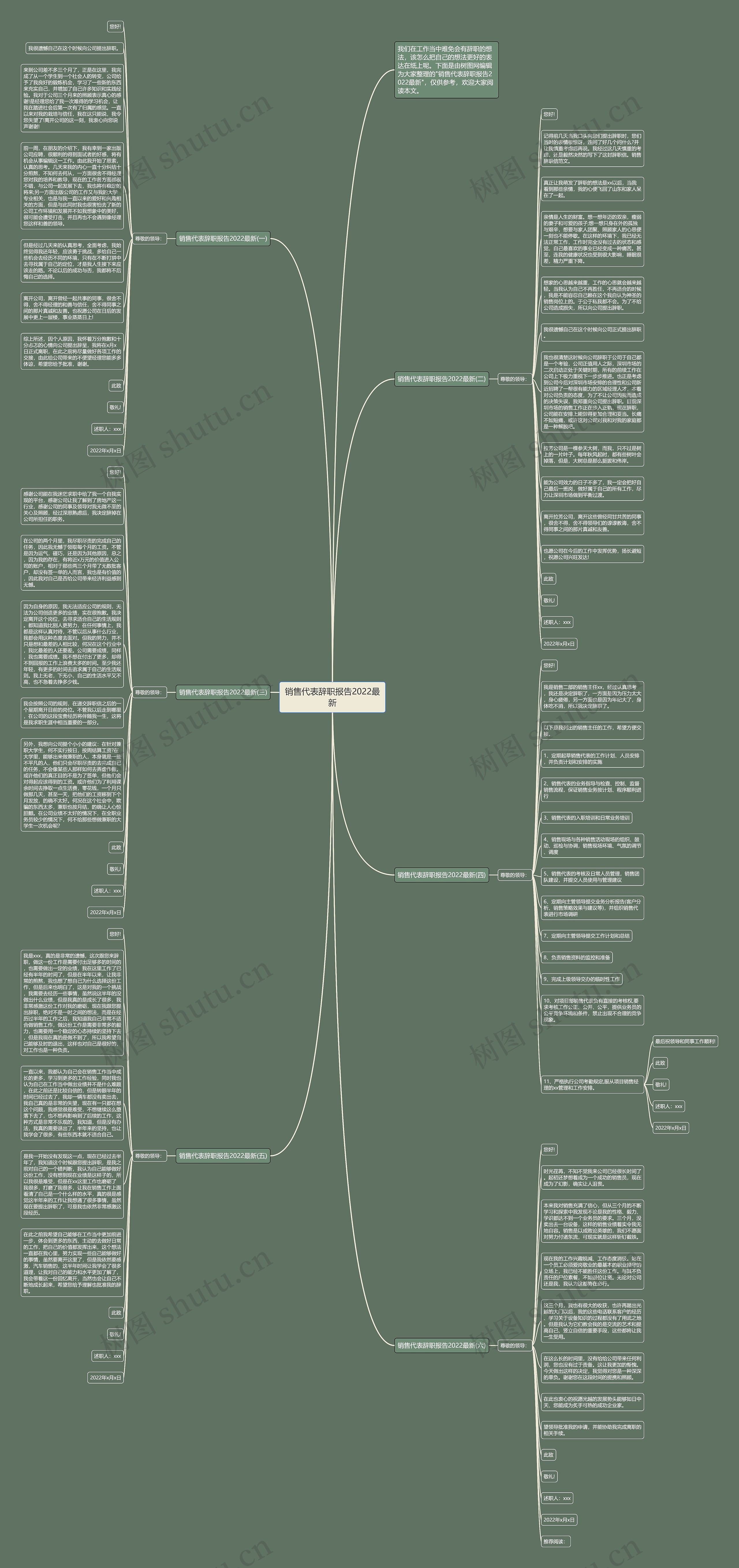 销售代表辞职报告2022最新思维导图
