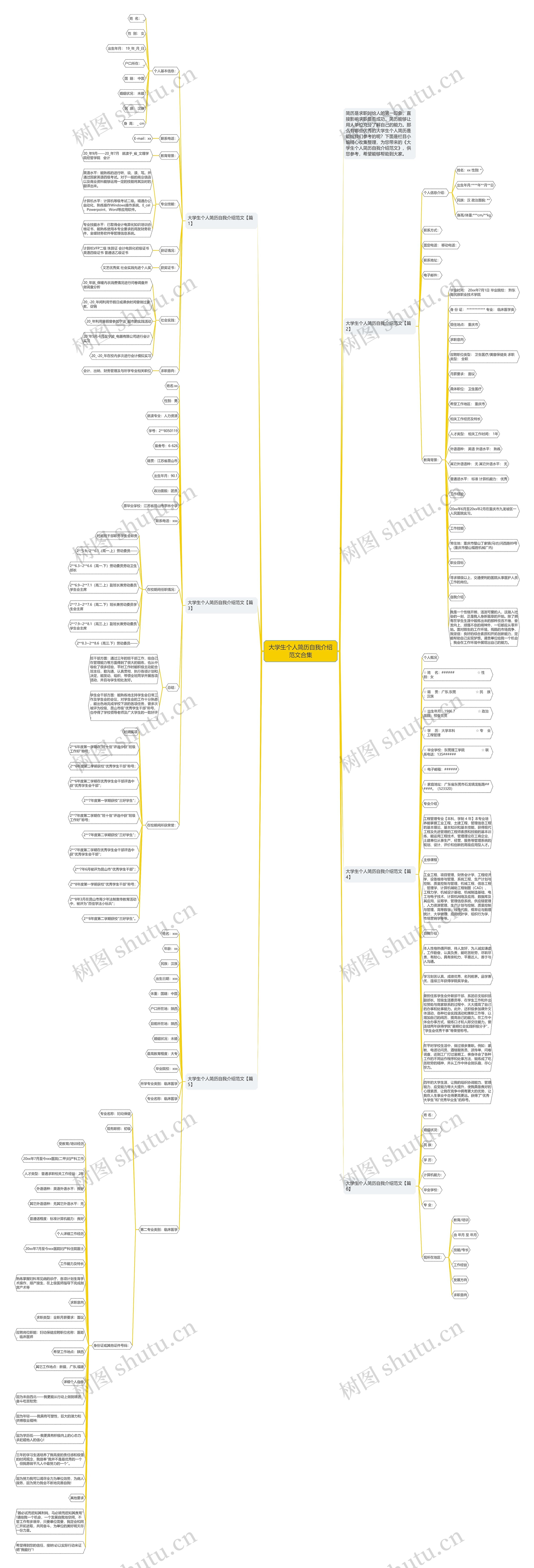 大学生个人简历自我介绍范文合集思维导图