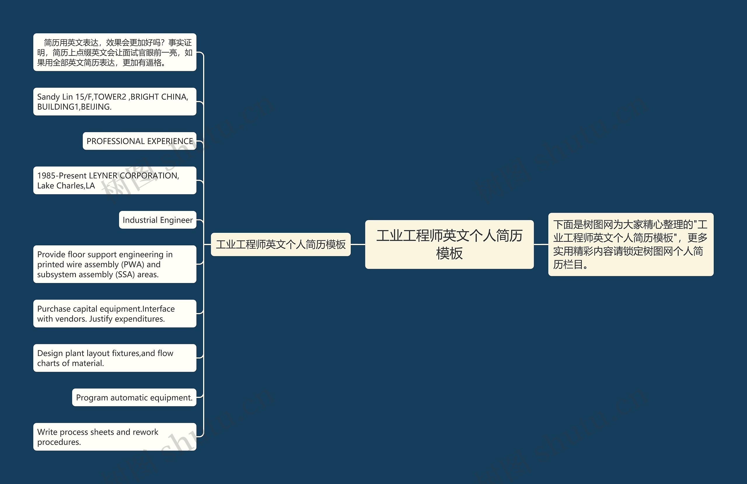 工业工程师英文个人简历模板