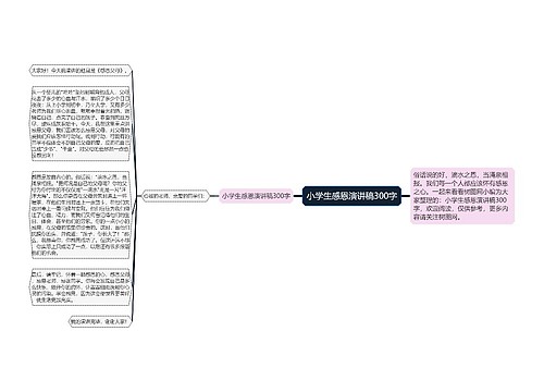 小学生感恩演讲稿300字