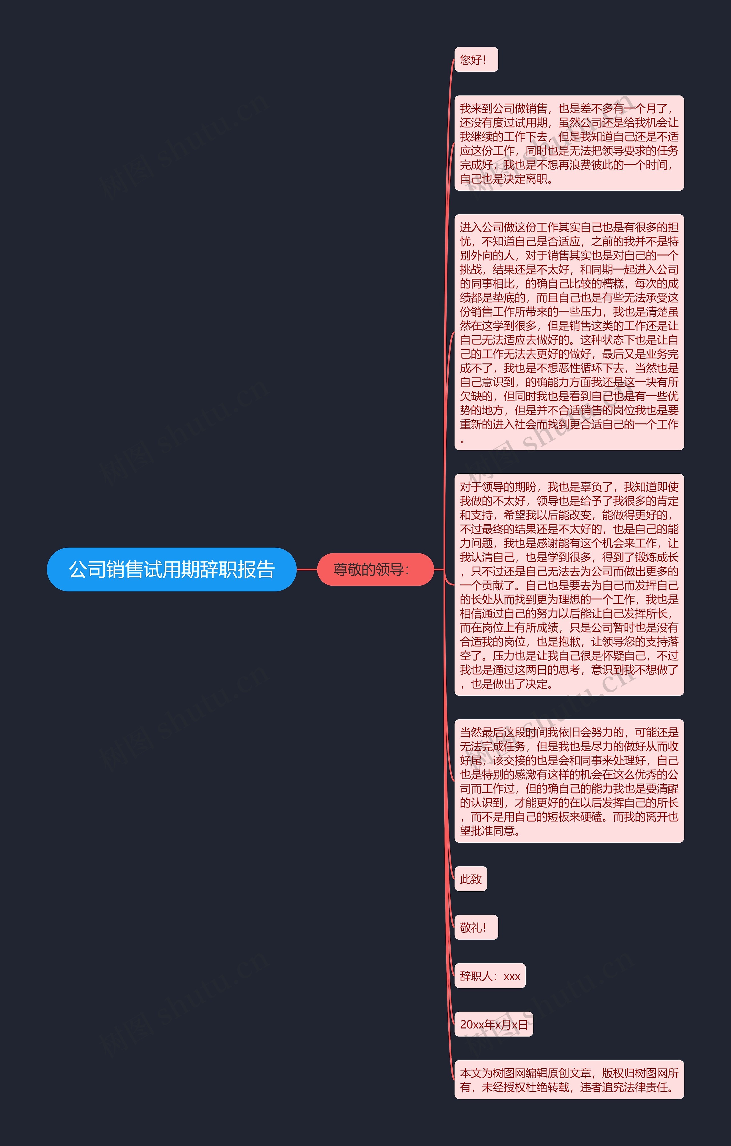 公司销售试用期辞职报告