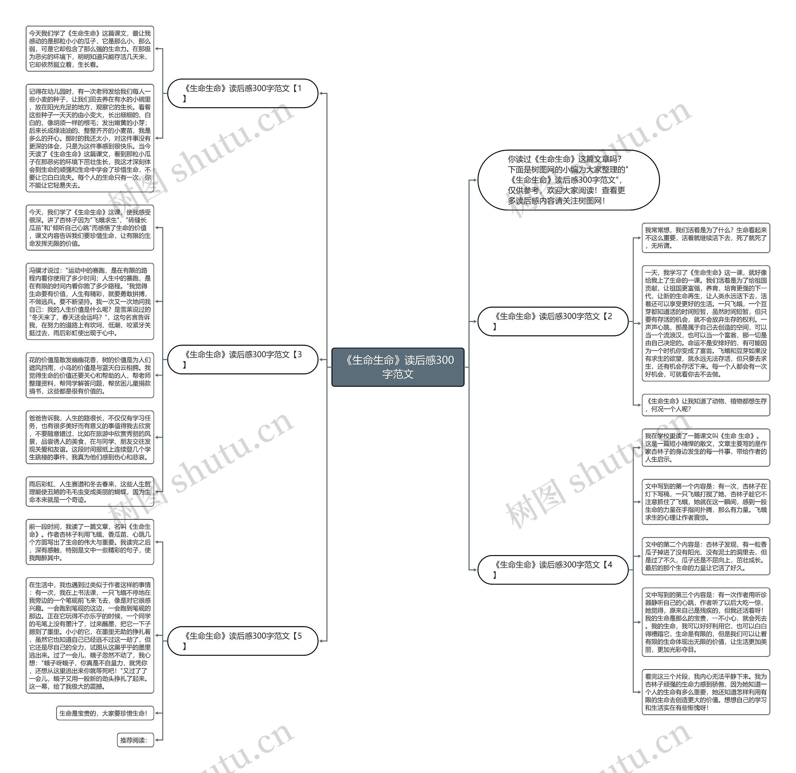 《生命生命》读后感300字范文思维导图
