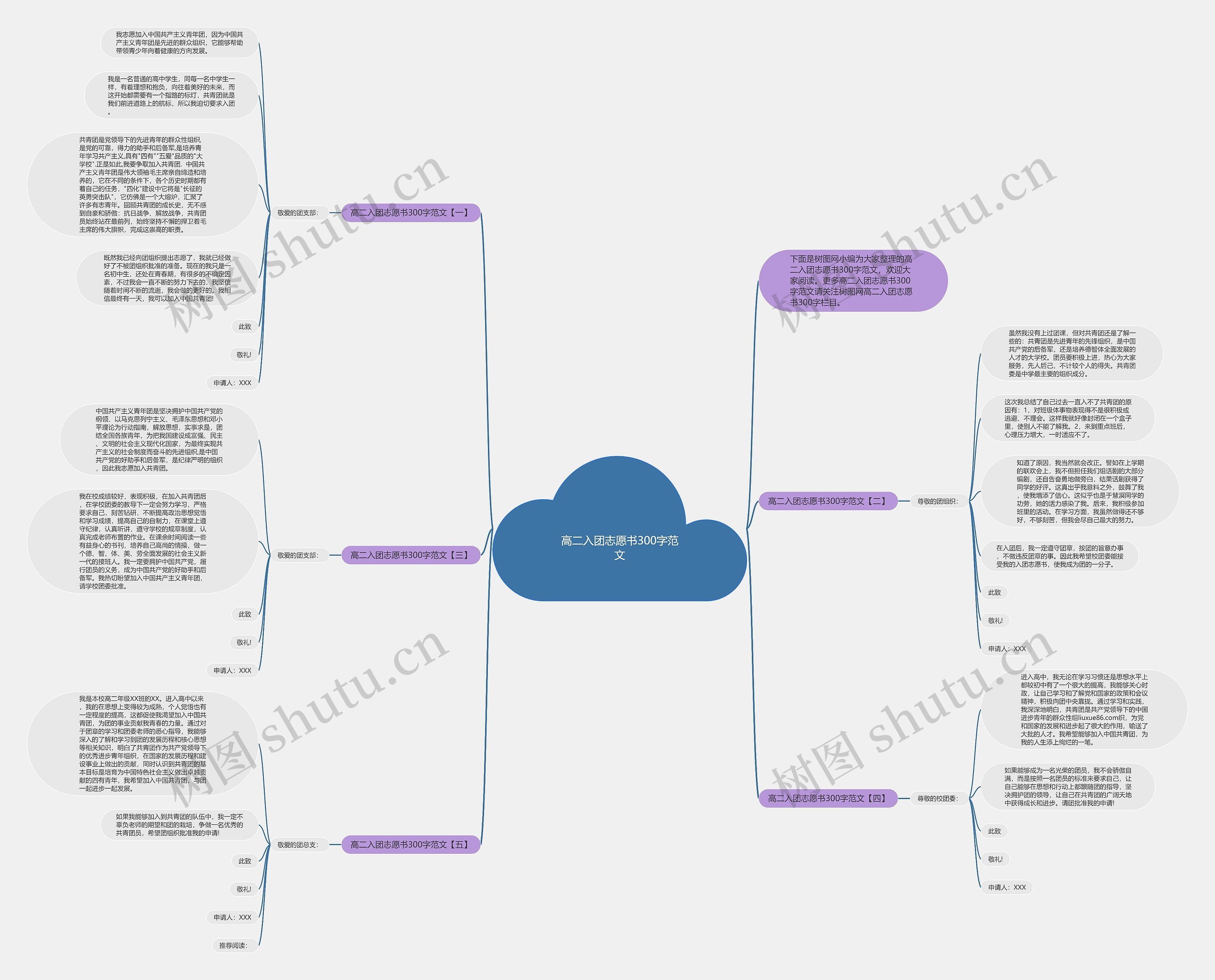 高二入团志愿书300字范文思维导图