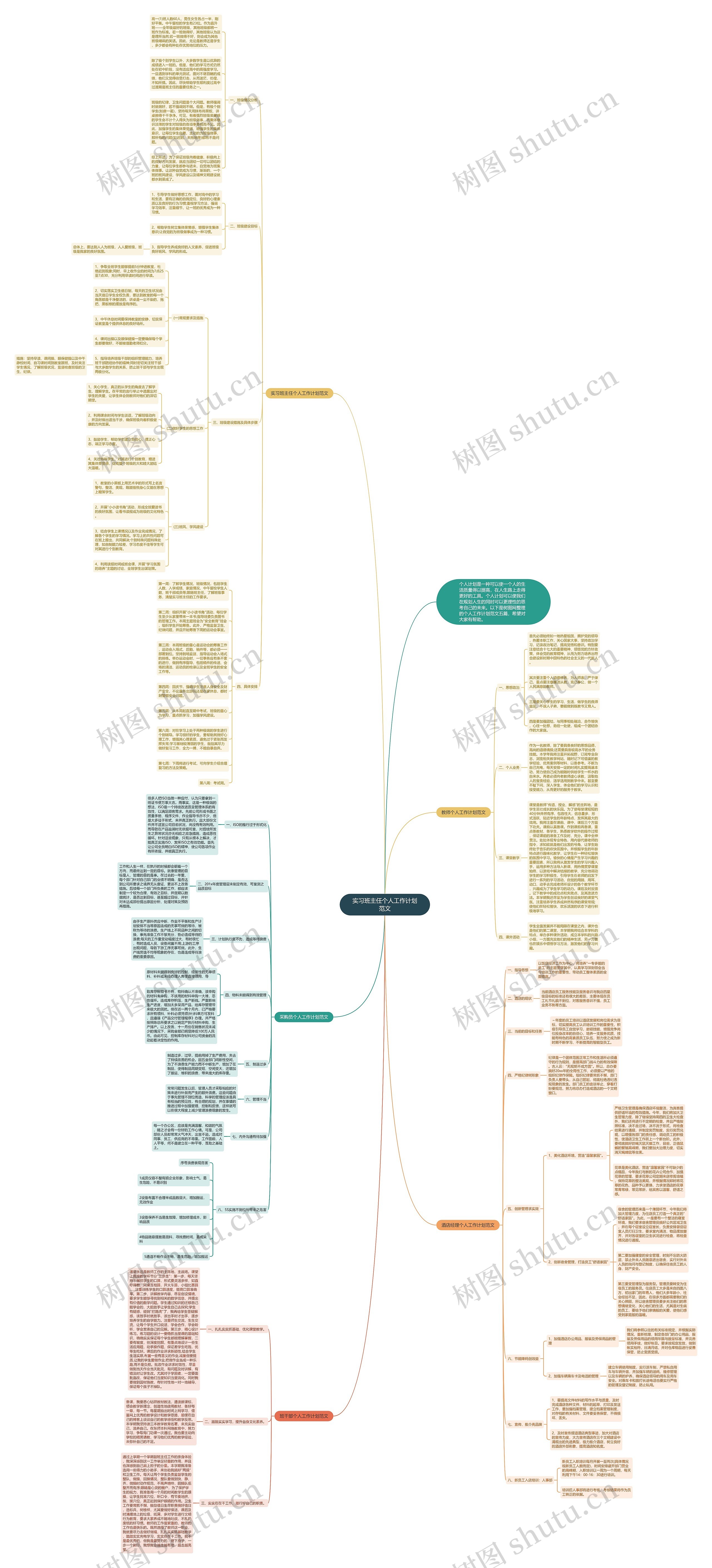 实习班主任个人工作计划范文思维导图