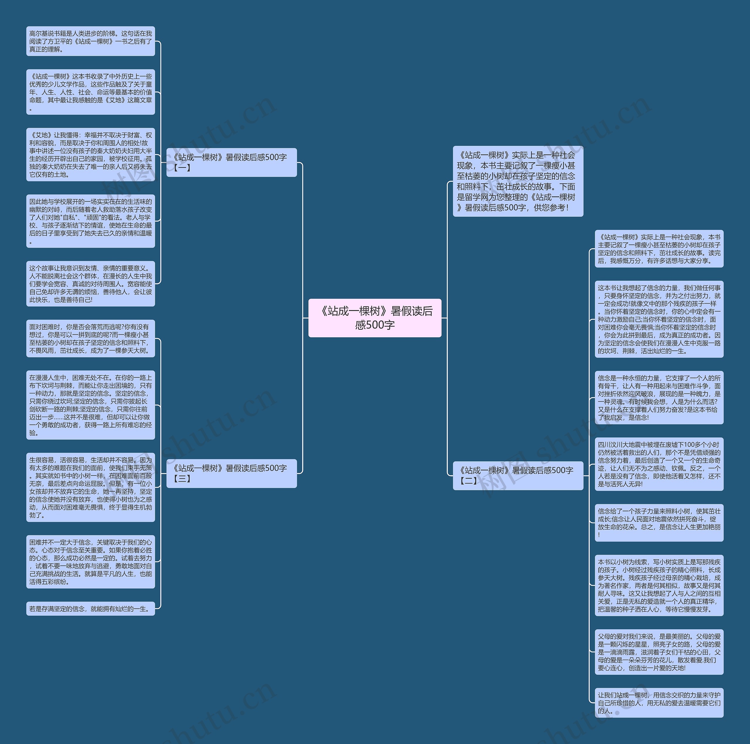 《站成一棵树》暑假读后感500字思维导图