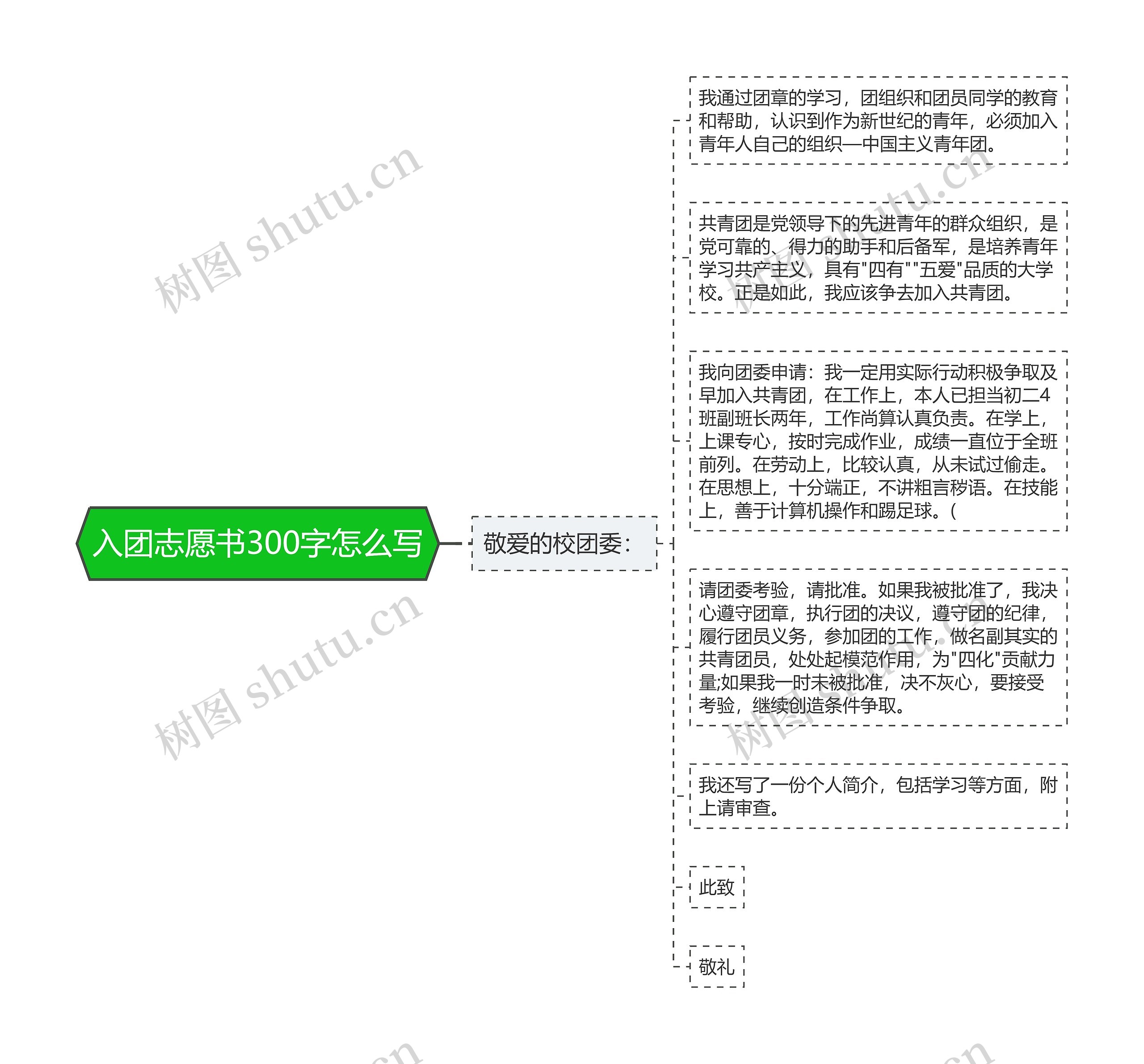 入团志愿书300字怎么写