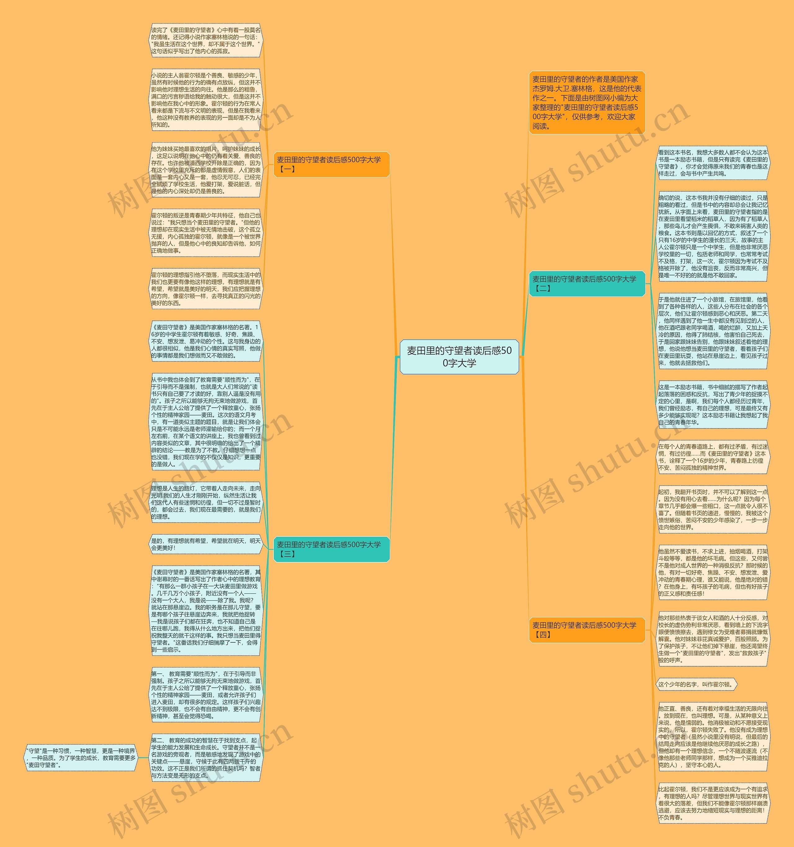 麦田里的守望者读后感500字大学思维导图