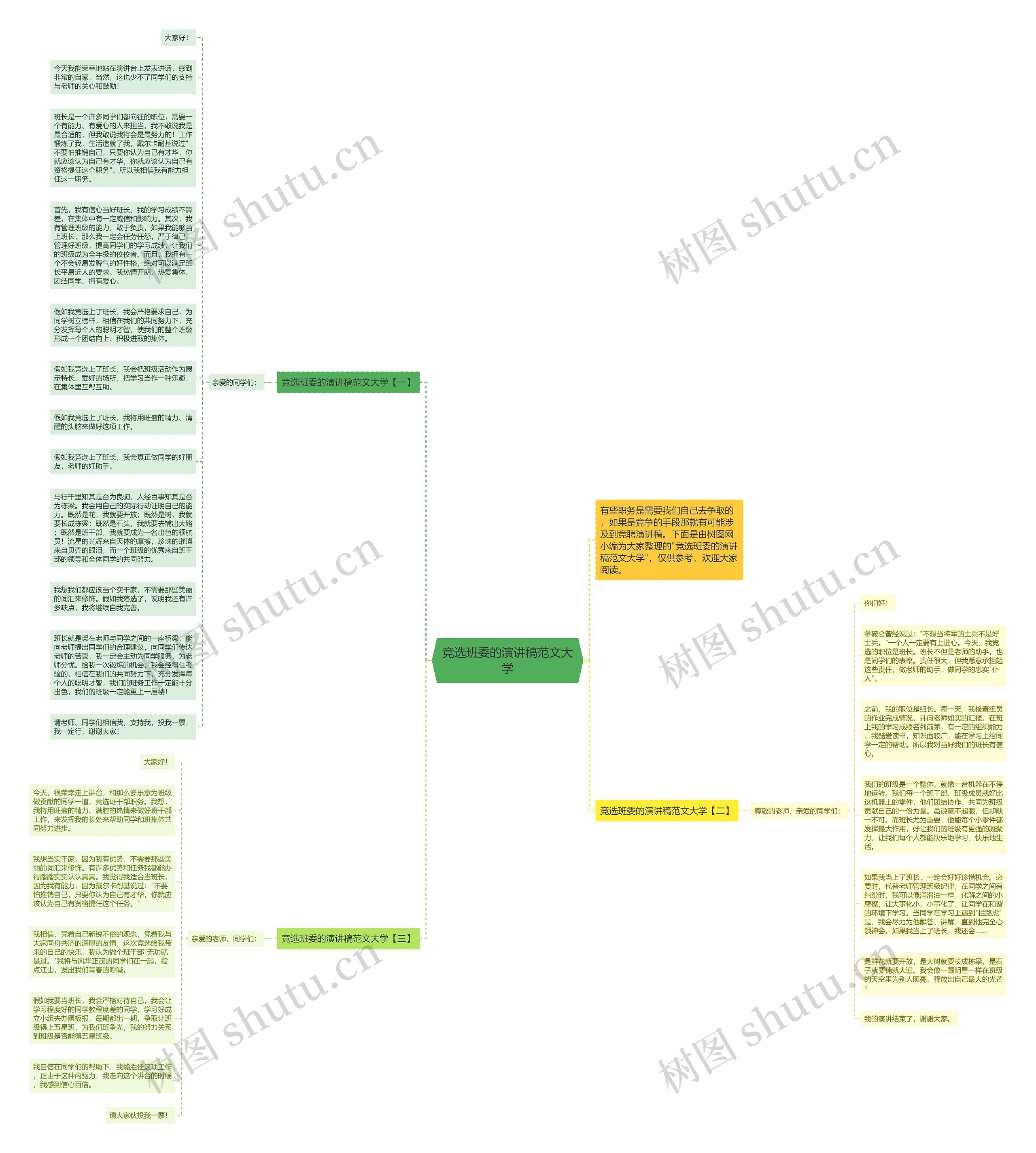 竞选班委的演讲稿范文大学思维导图